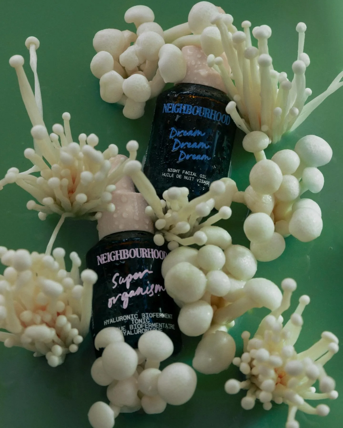 🍄&zwj;🟫🦠🪸🧫🩸🫧 experiments.