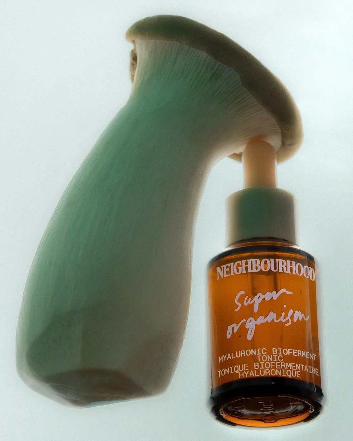 Madara_Freimane_Neighbourhood_botanicals_8.jpg