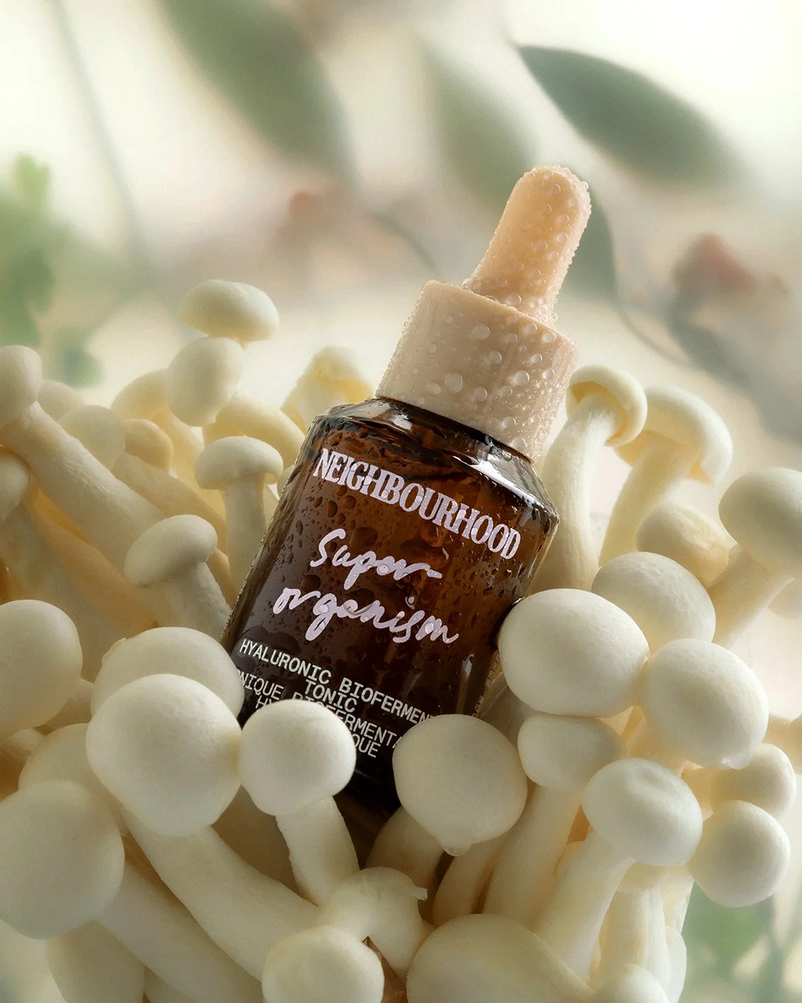 Madara_Freimane_Neighbourhood_botanicals_3.jpg