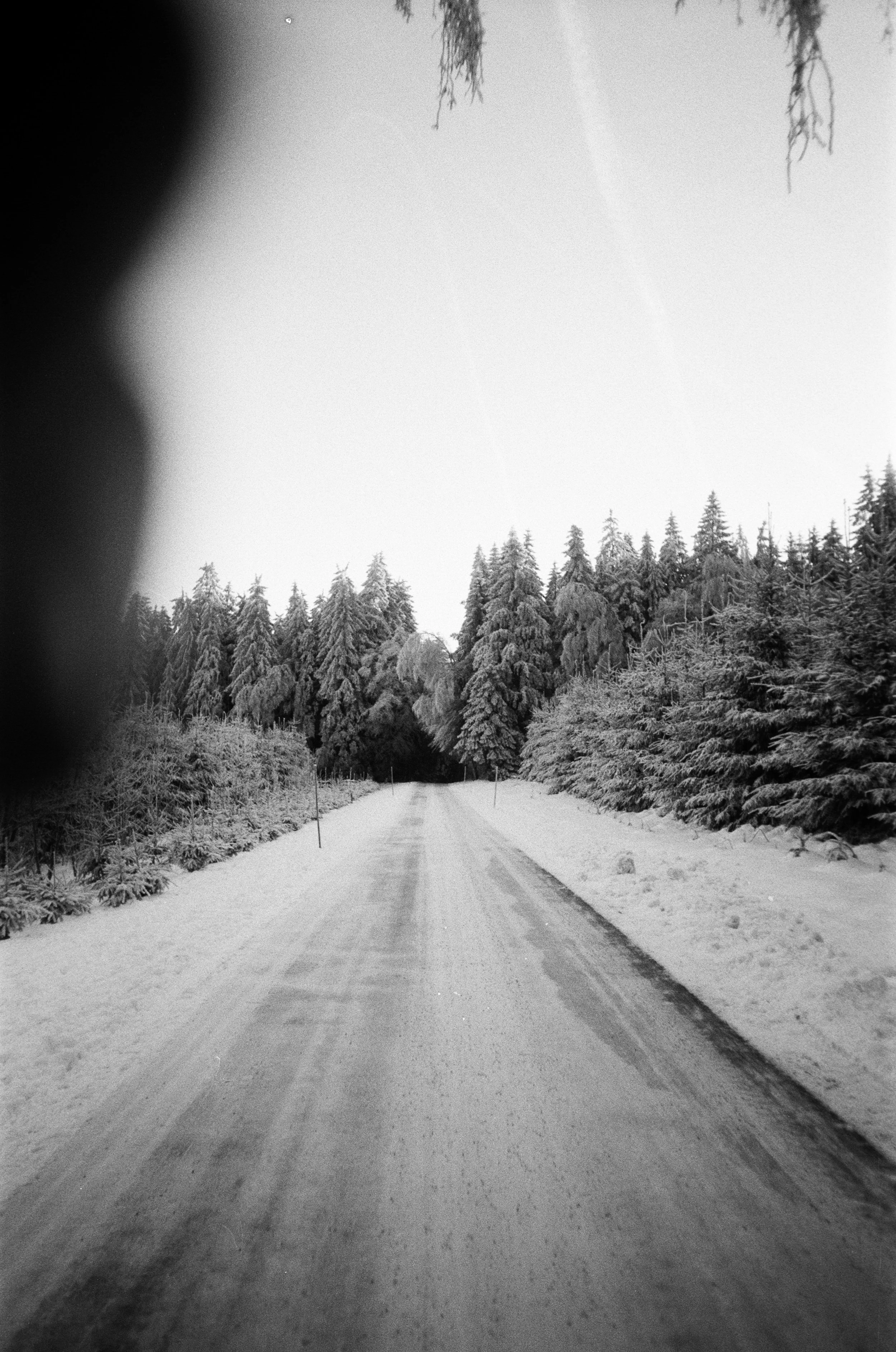 Film6293_0a.JPG