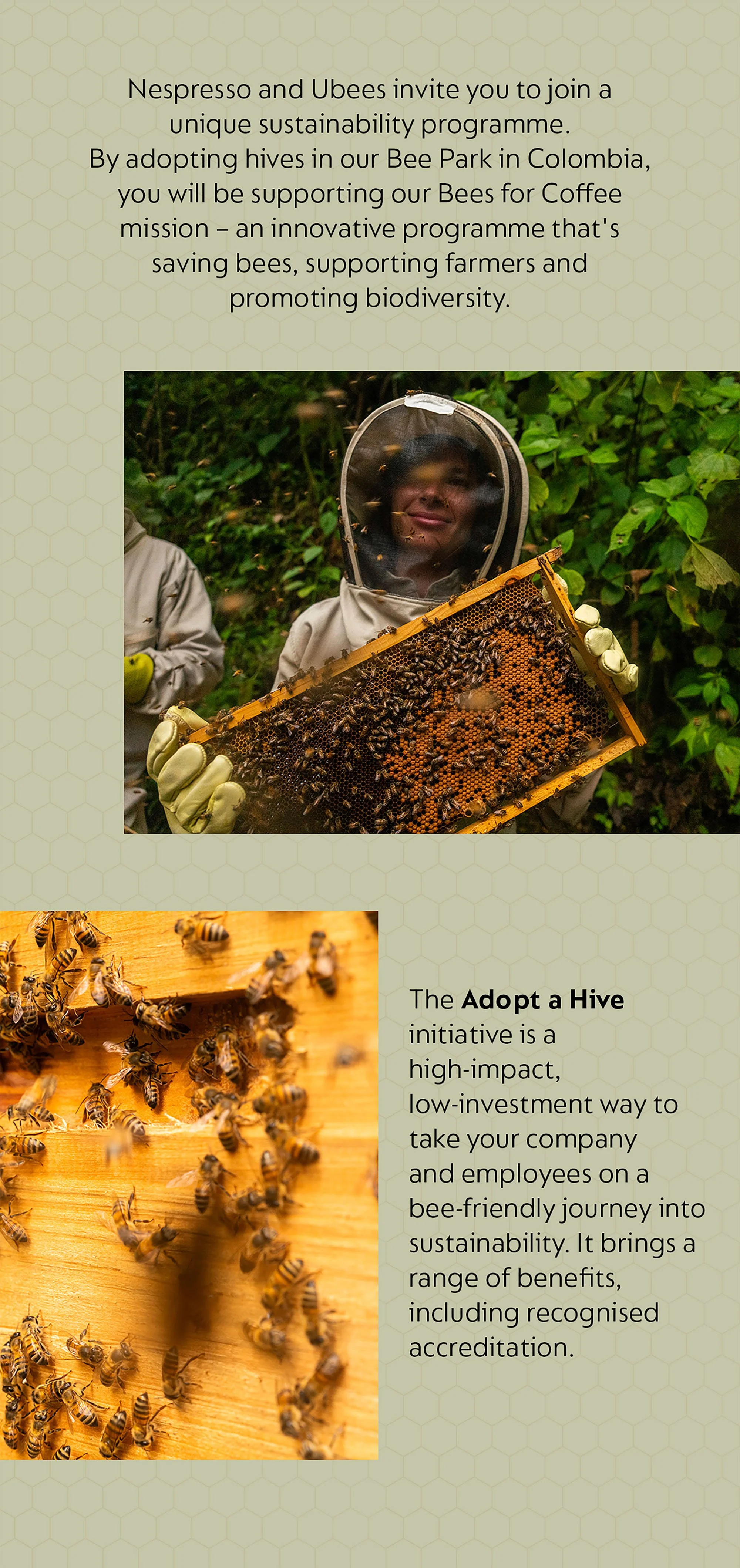 2. Nespress-concertina-2.jpg