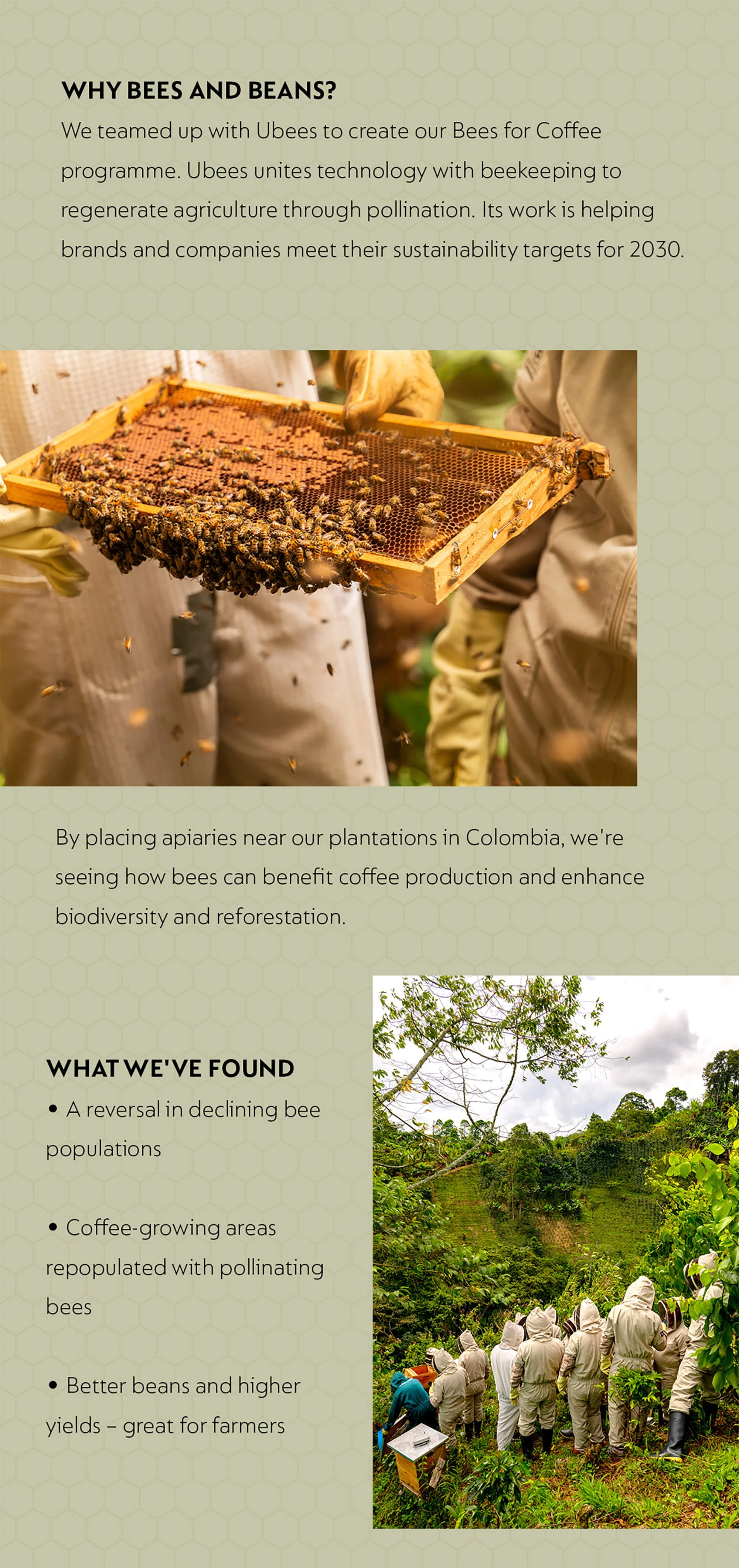 3. Nespresso-concertina-3.jpg