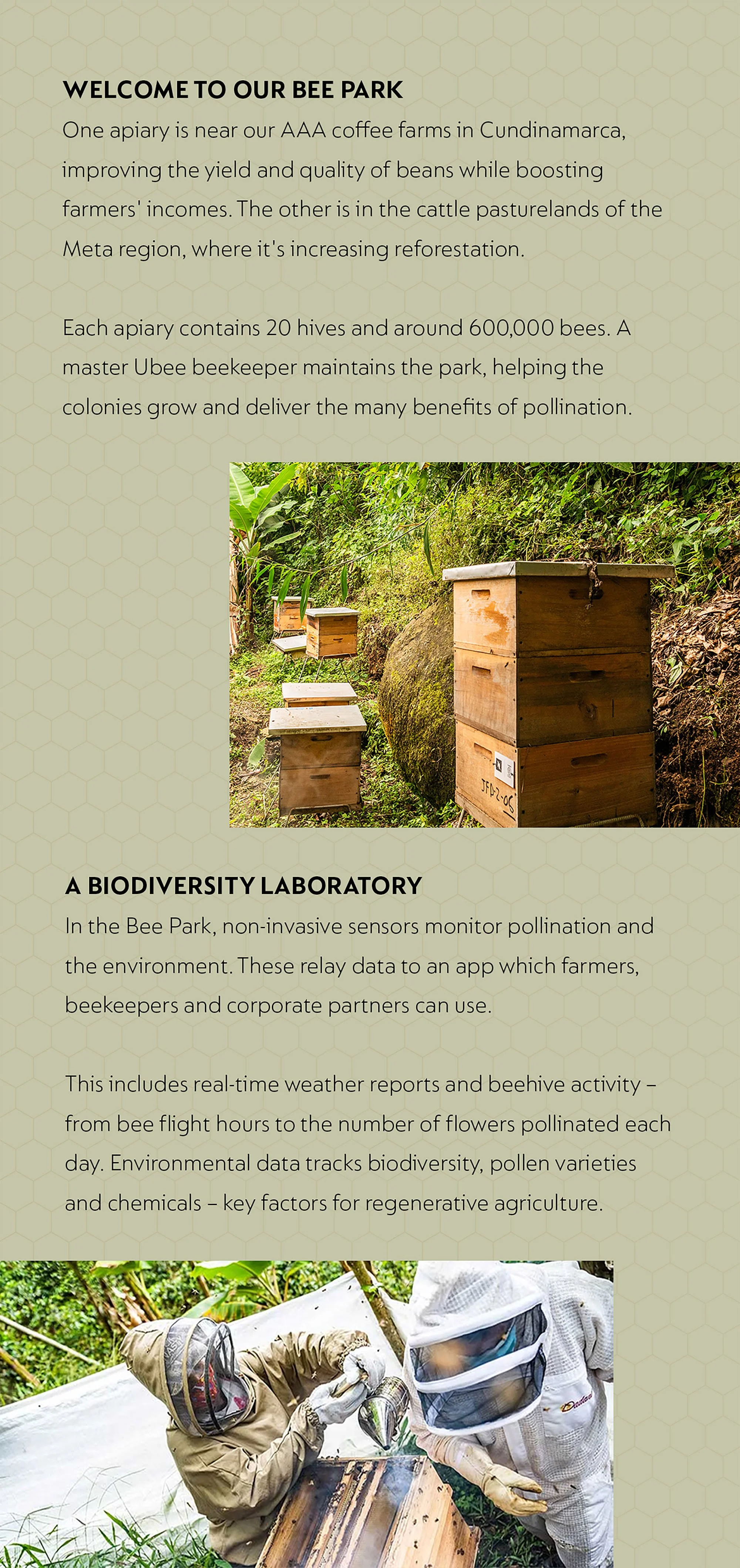 4. Nespresso-concertina-4.jpg