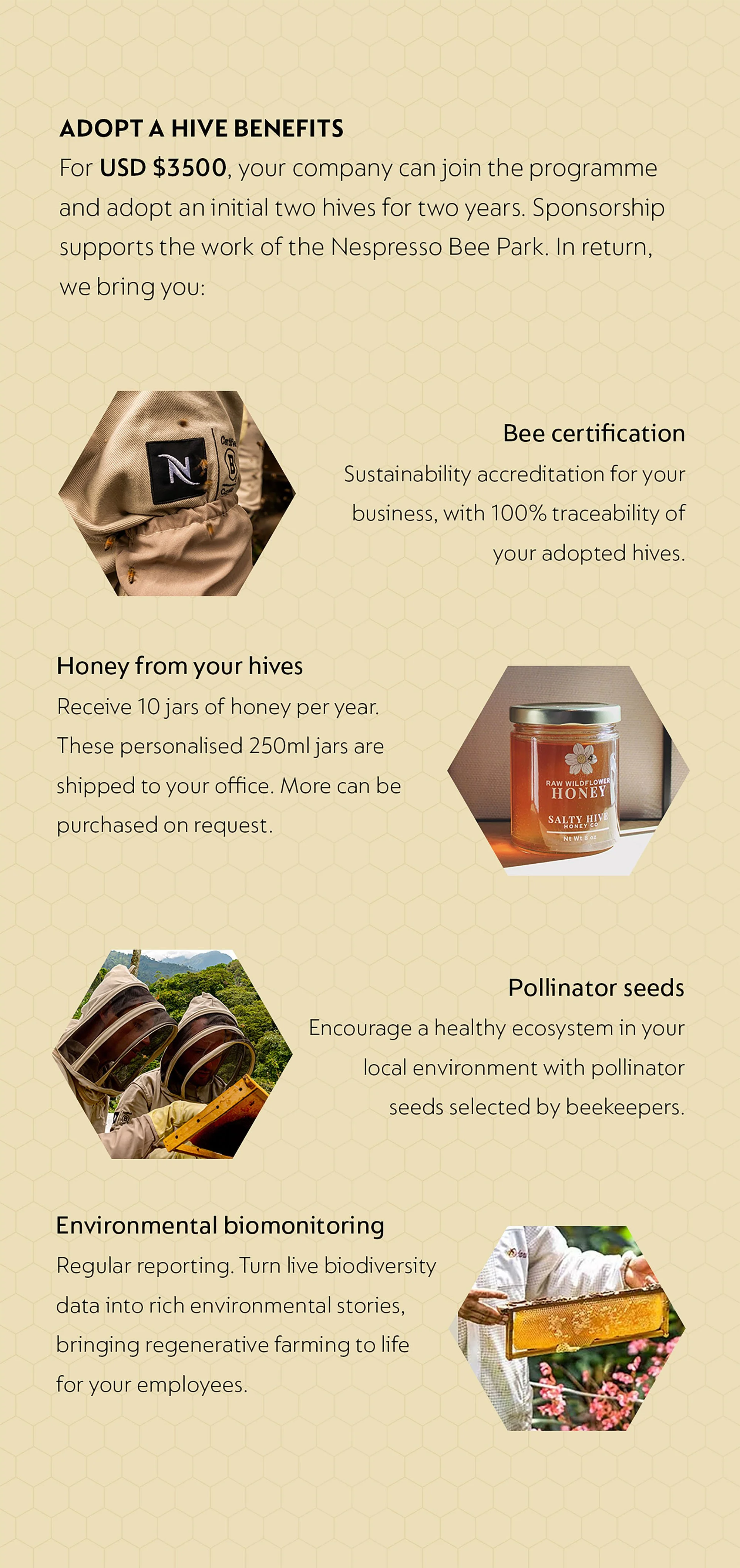 5. Nespresso-concertina-5.jpg