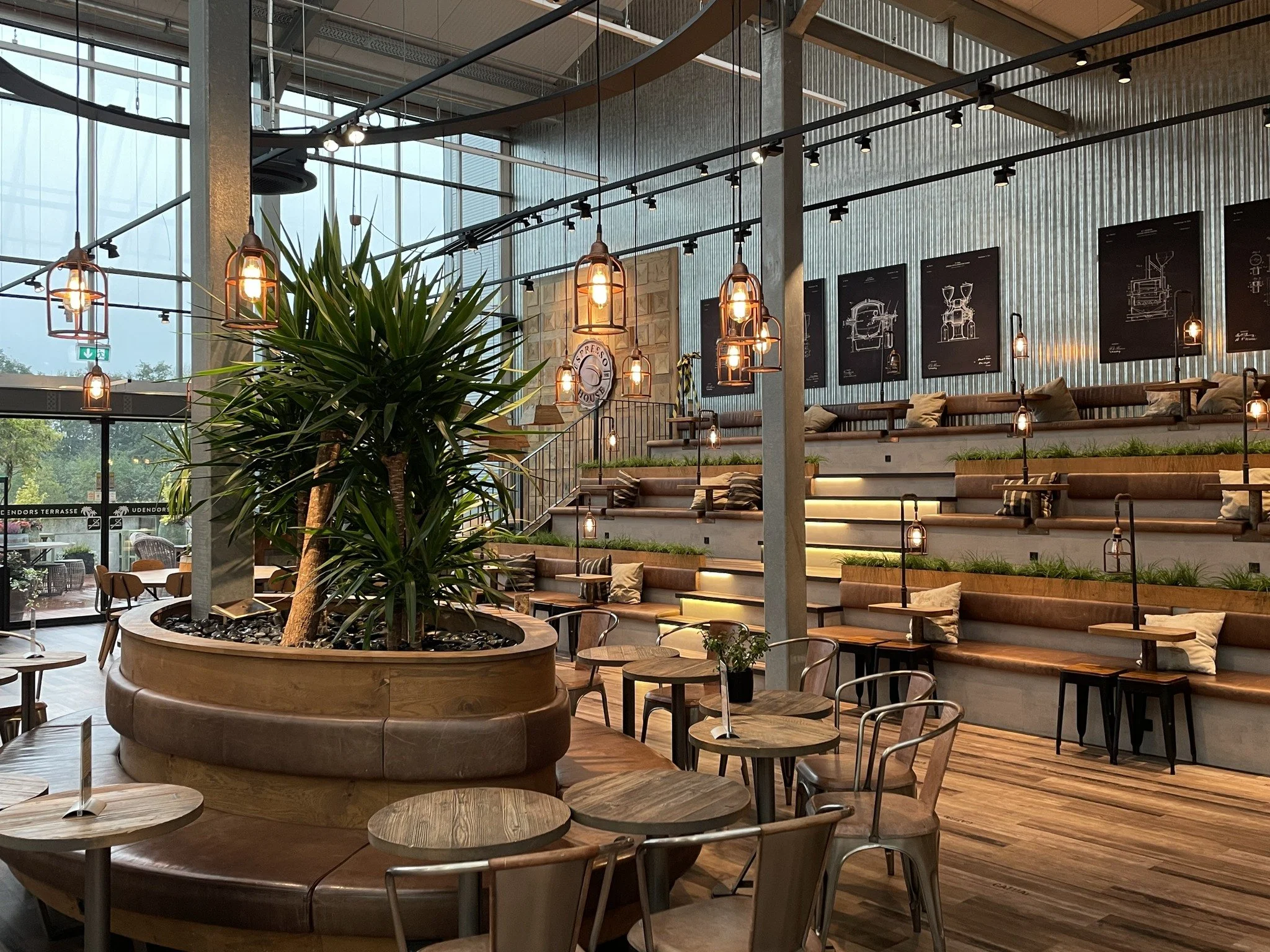 Cozy cafe interior with rustic decor and hanging plants