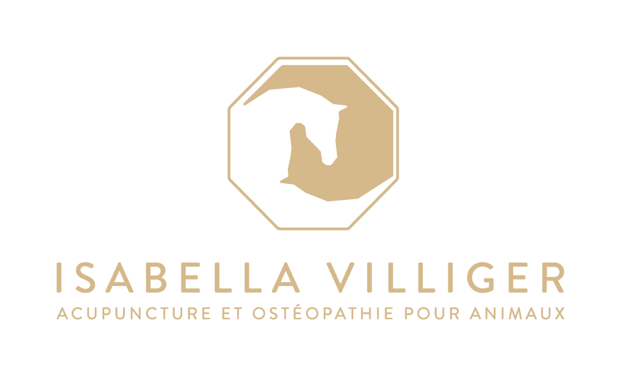 Isabella Villiger Acupuncture et Ostéopathie pour animaux