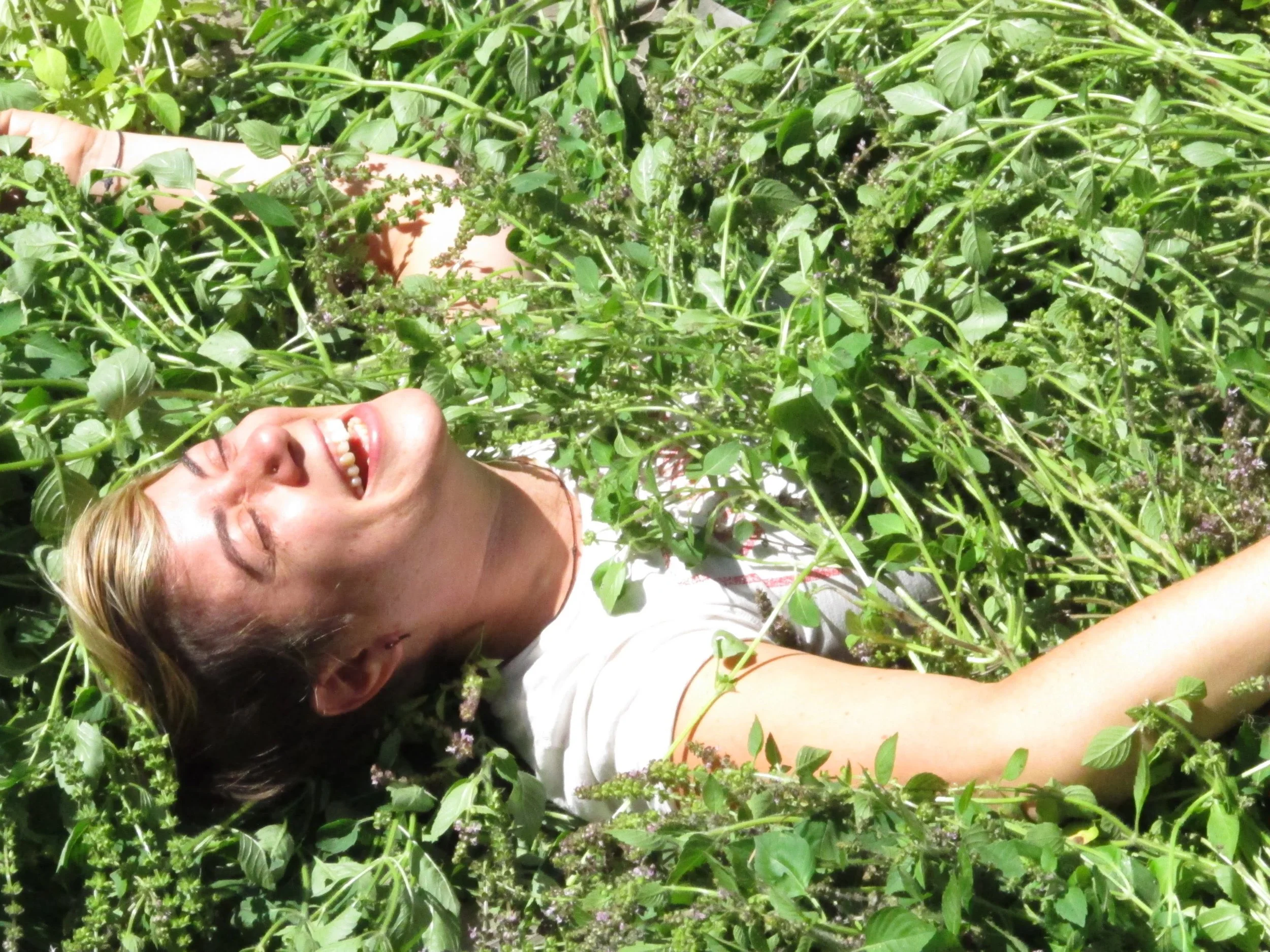 Happy Apprentice, Massachusetts, Blazing Star Herbal School, Tony(a) Lemos Arts