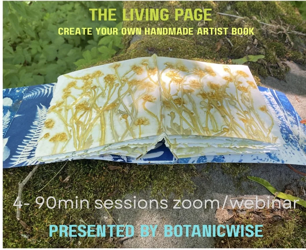 The Living Page