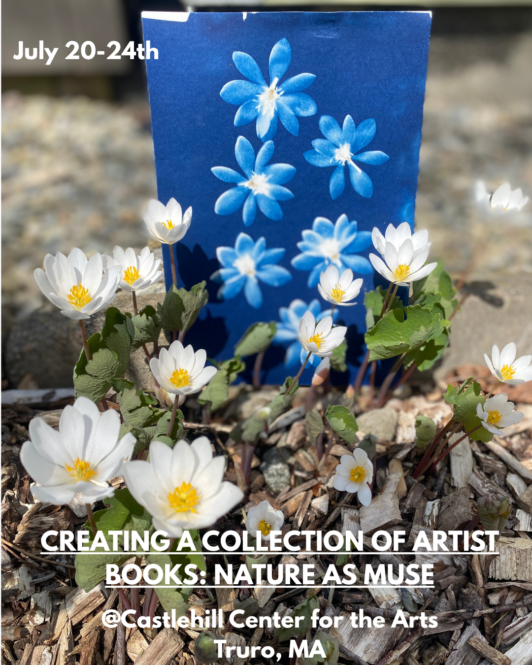 Creating a collection of Artist Books: Nature as Muse