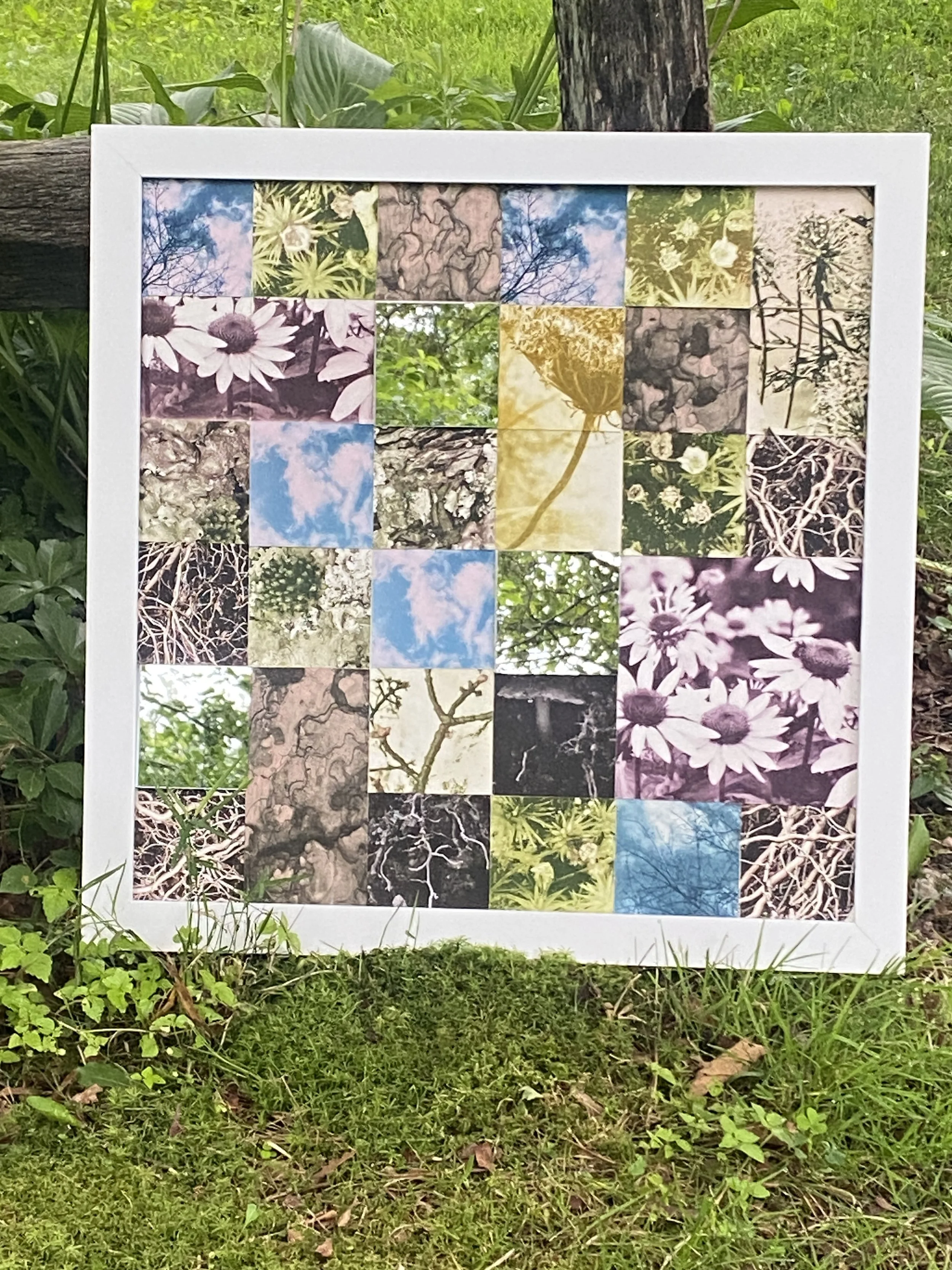 reflections on impermanence.jpeg