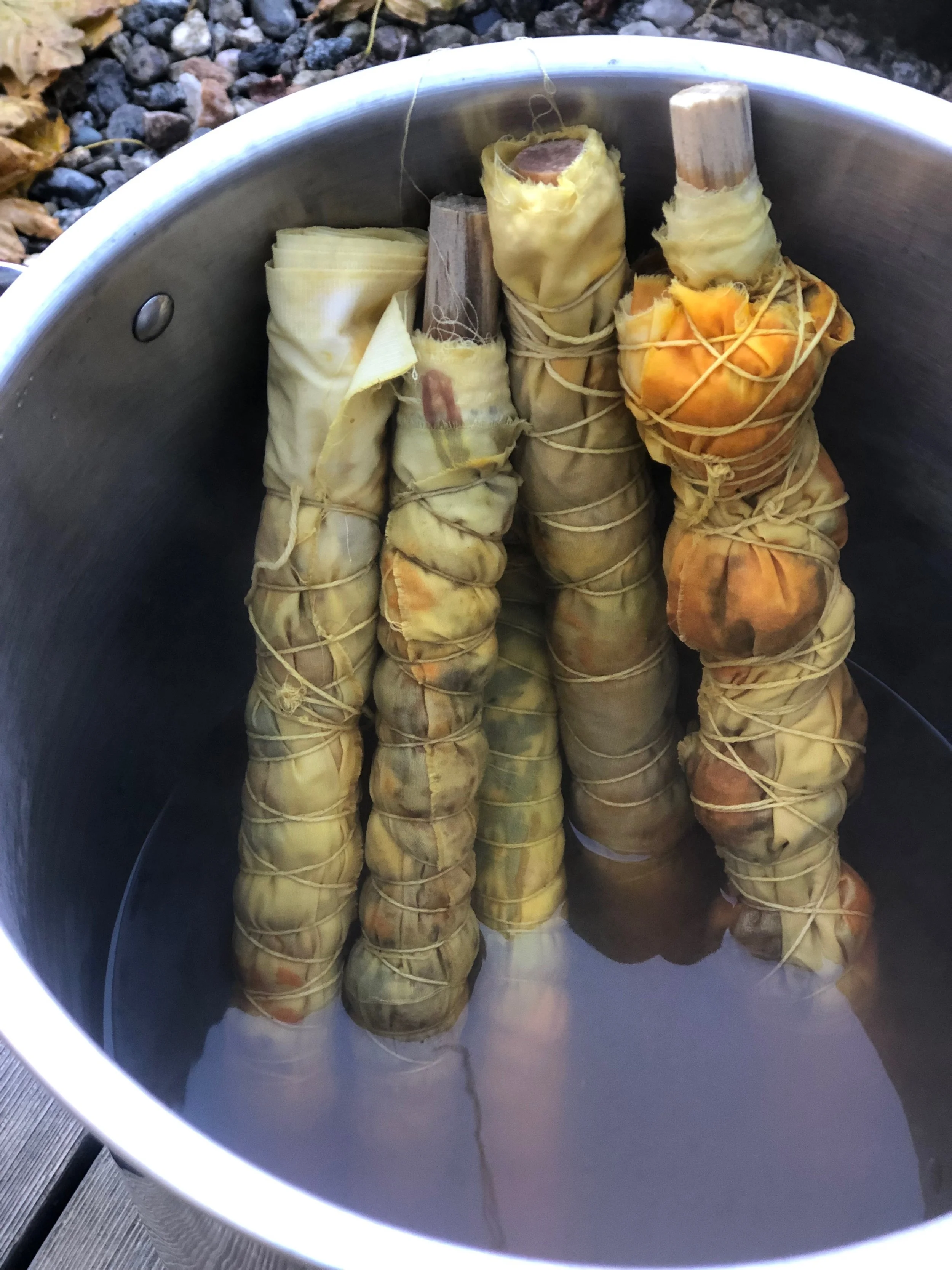 Botanical Art Process, Herbalism, Massachusetts, Botanical Art Program, Blazing Star Herbal School, Tony(a) Lemos Arts