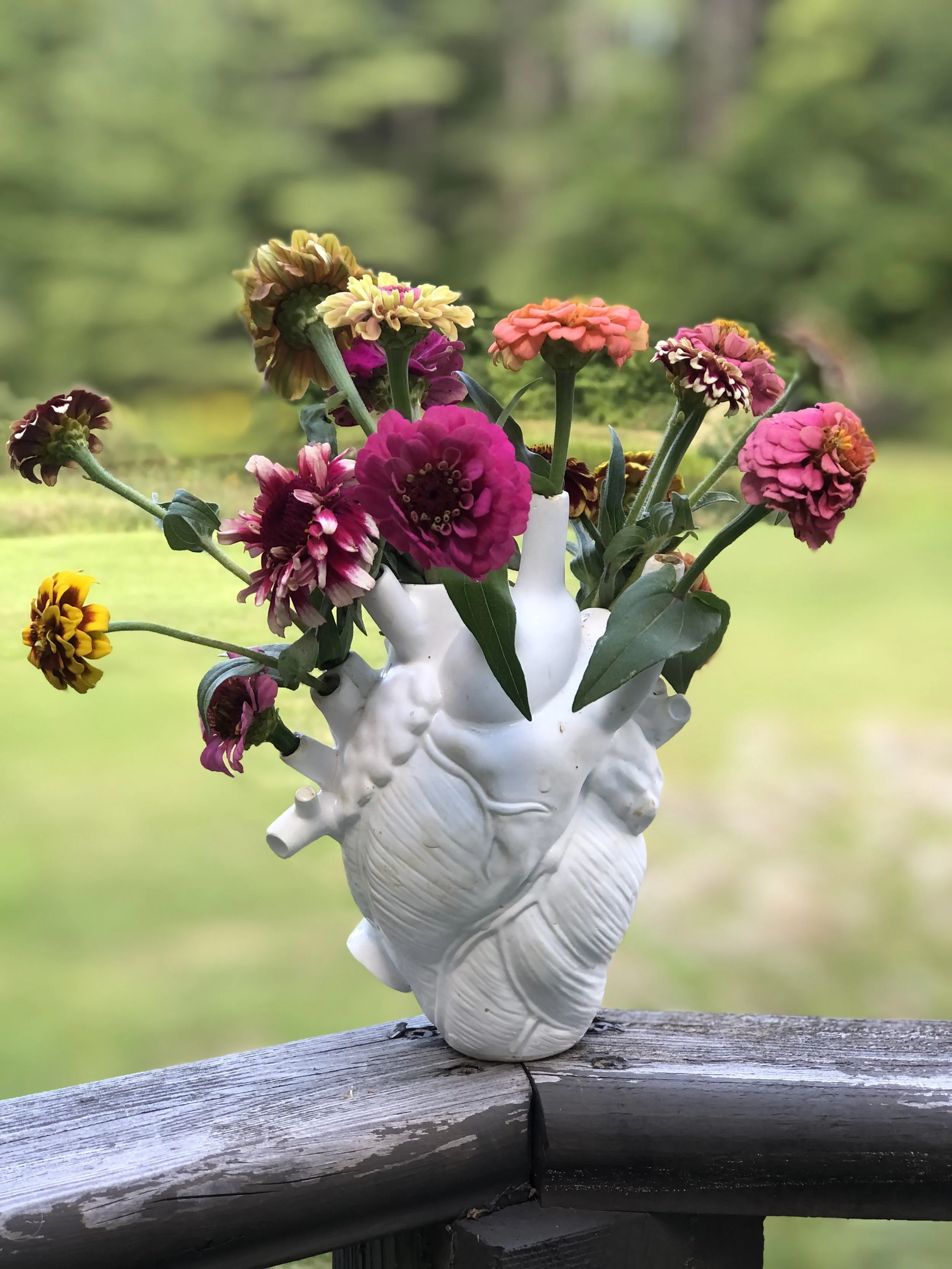 Flowers in Heart Vase, Herbalism, Massachusetts, Blazing Star Herbal School, Tony(a) Lemos Arts