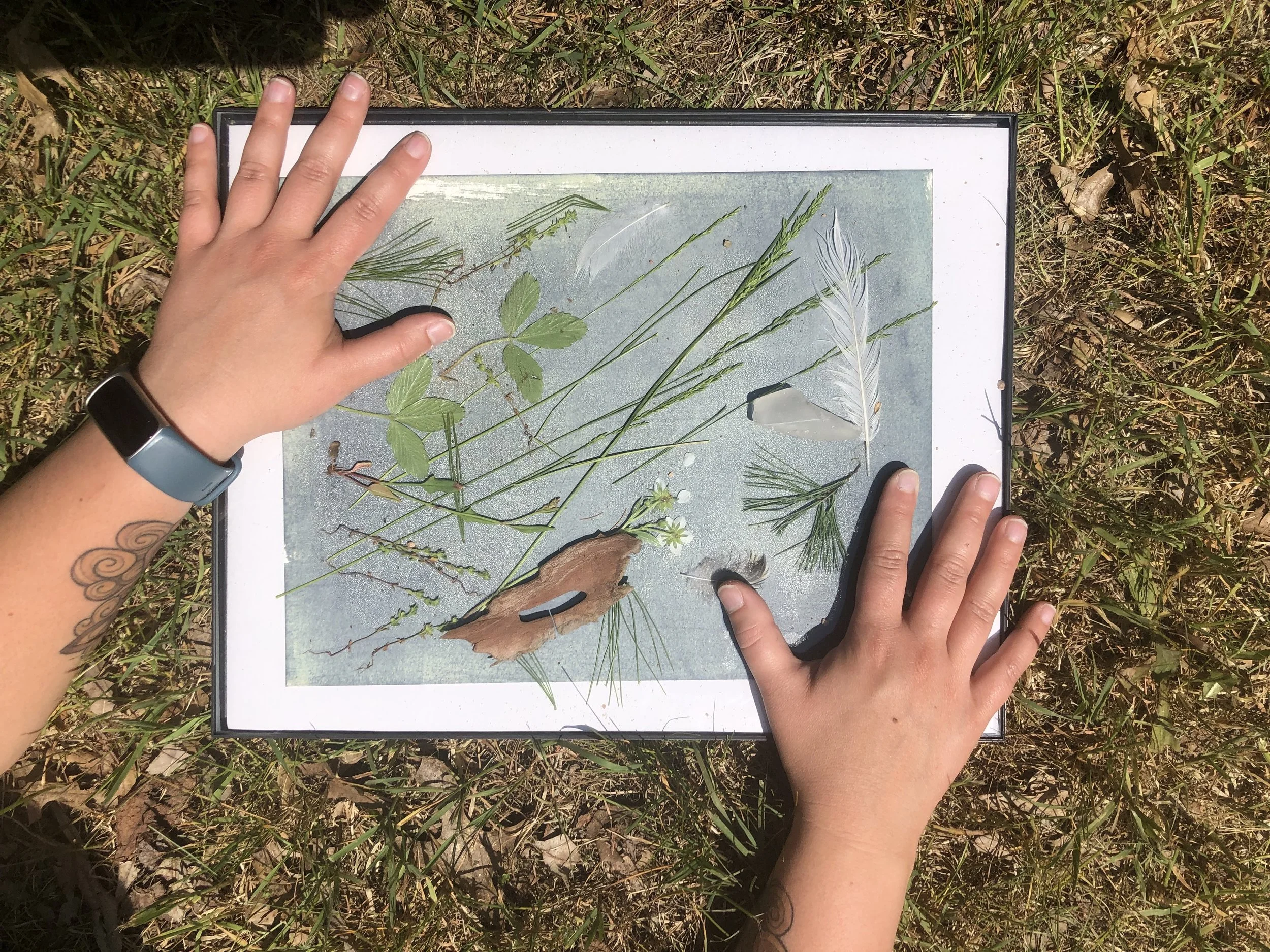 Print Making in Sun, Herbalism, Massachusetts, Botanical Art Program, Blazing Star Herbal School, Tony(a) Lemos Arts