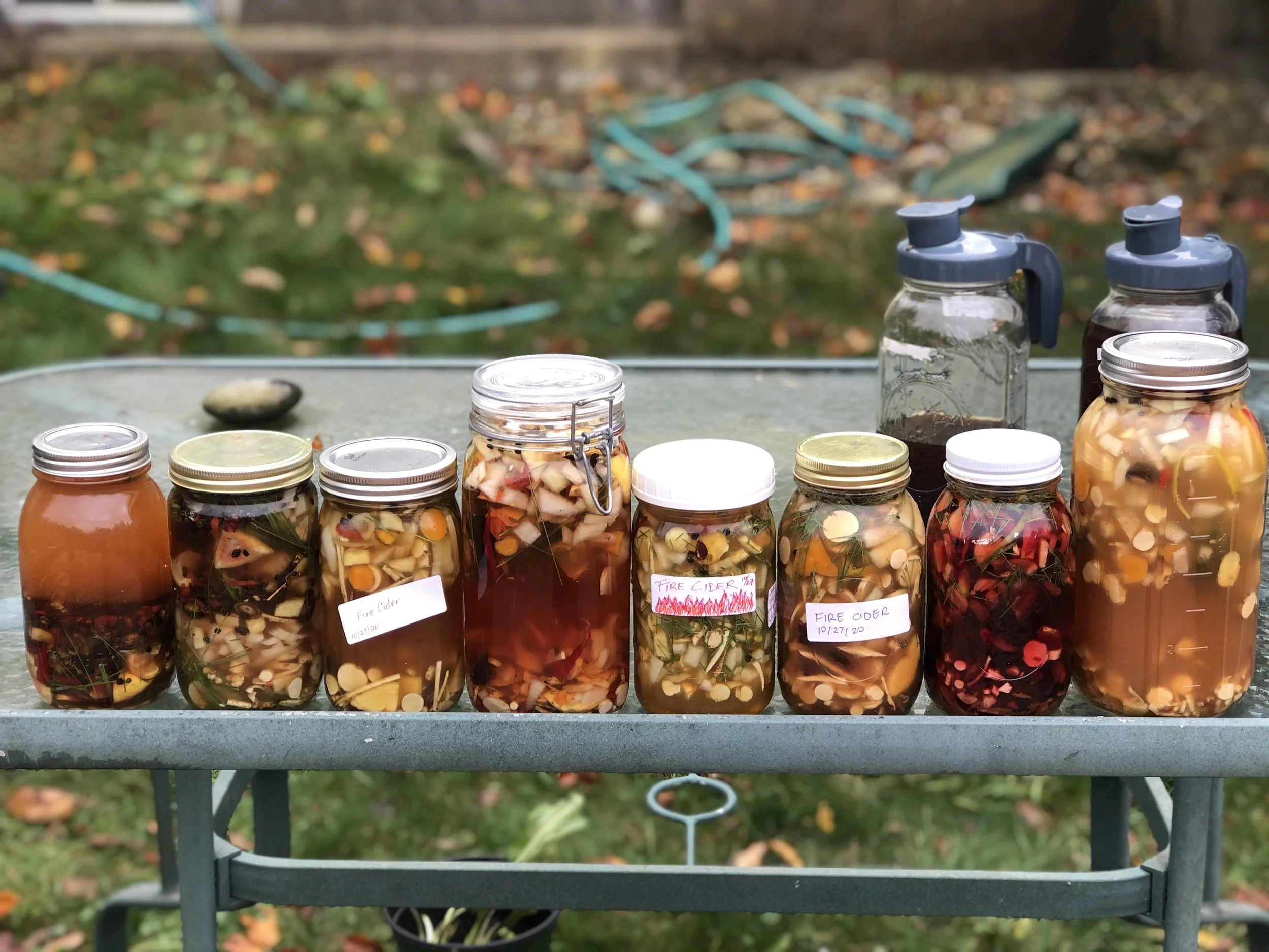 Fire Cider, Herbalism, Massachusetts, Blazing Star Herbal School, Tony(a) Lemos Arts