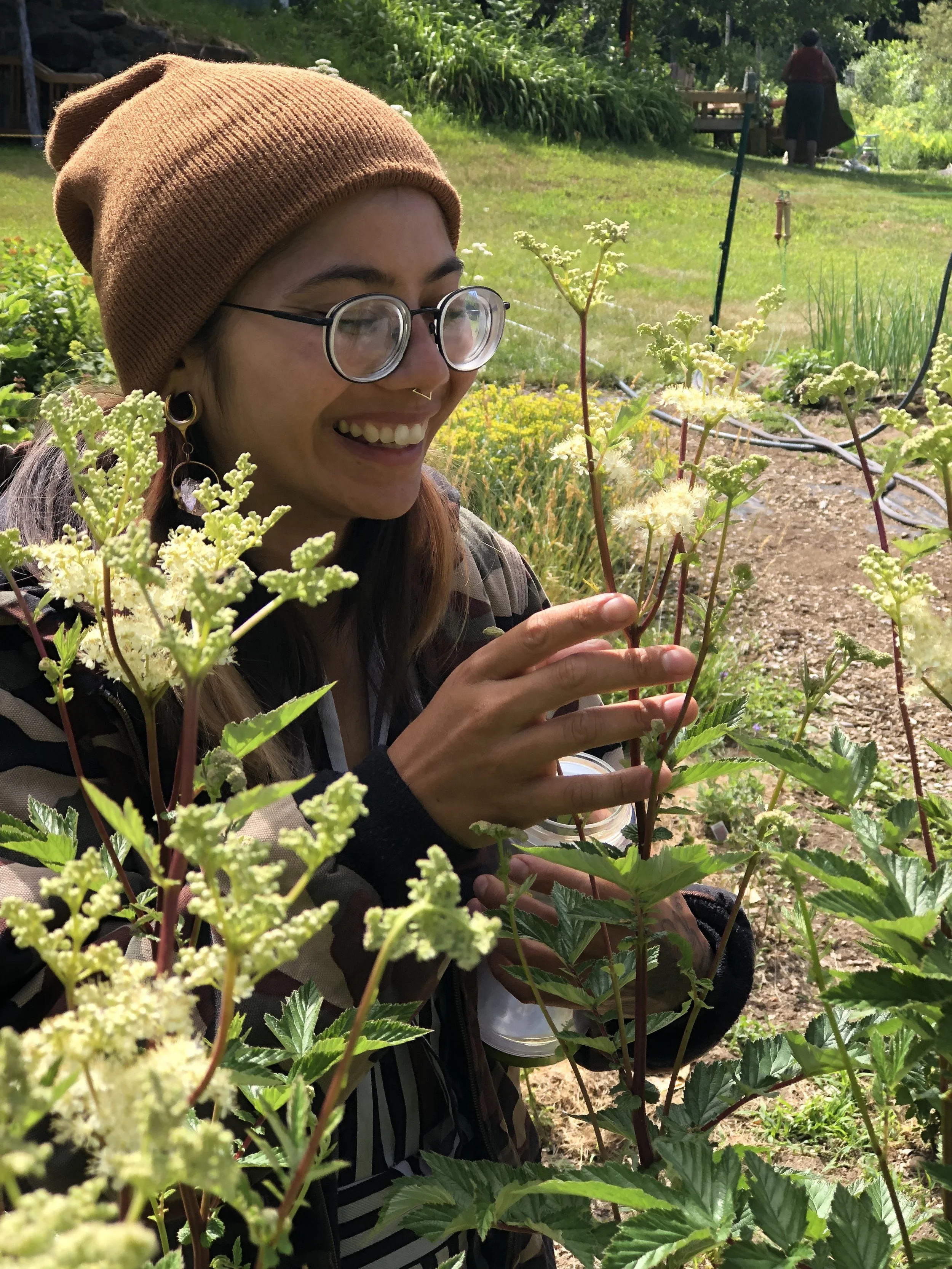 Apprentice with Plants, Herbalism, Massachusetts, Blazing Star Herbal School, Tony(a) Lemos Arts