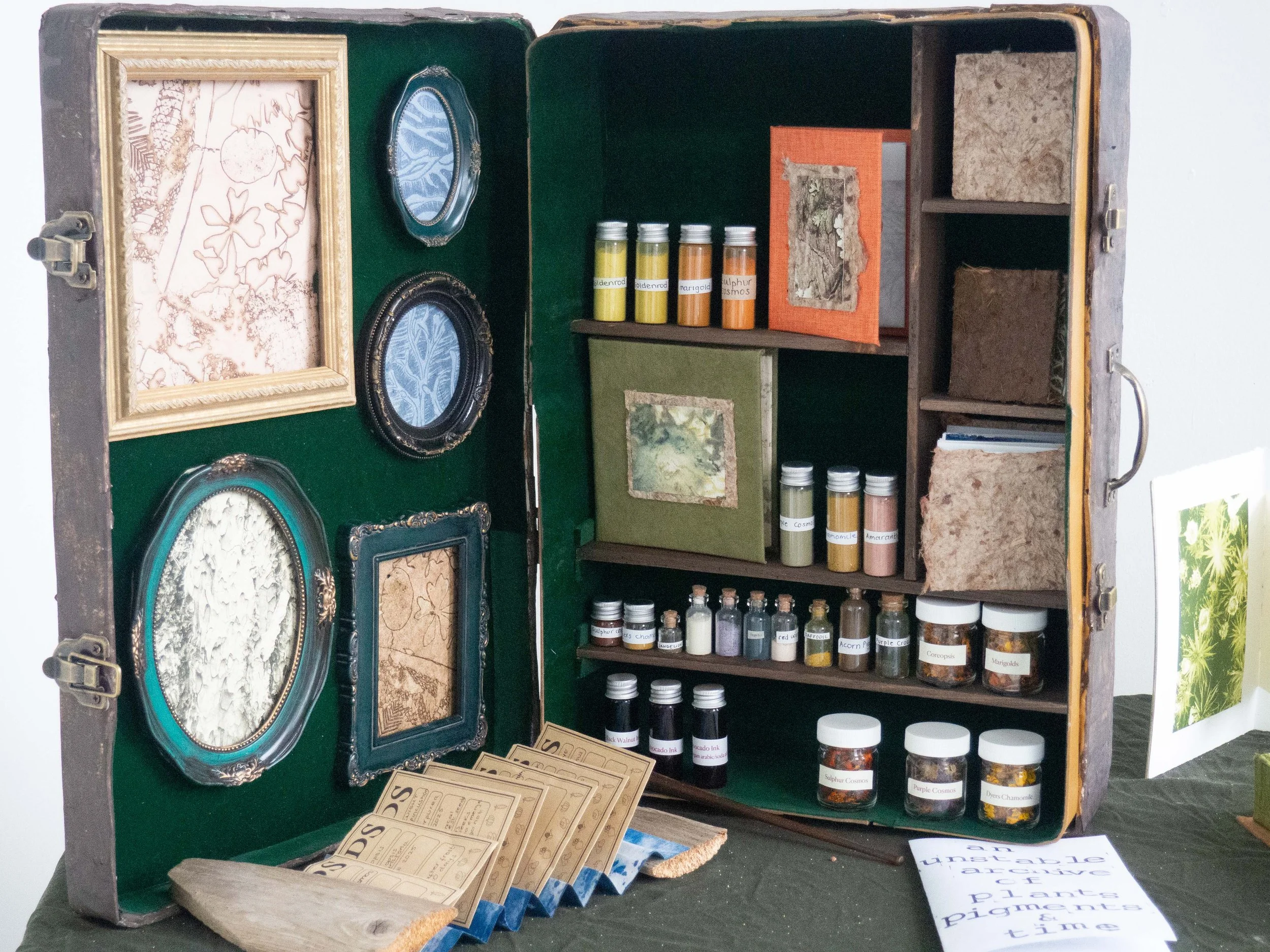 An unstable archive of plants, pigments and time