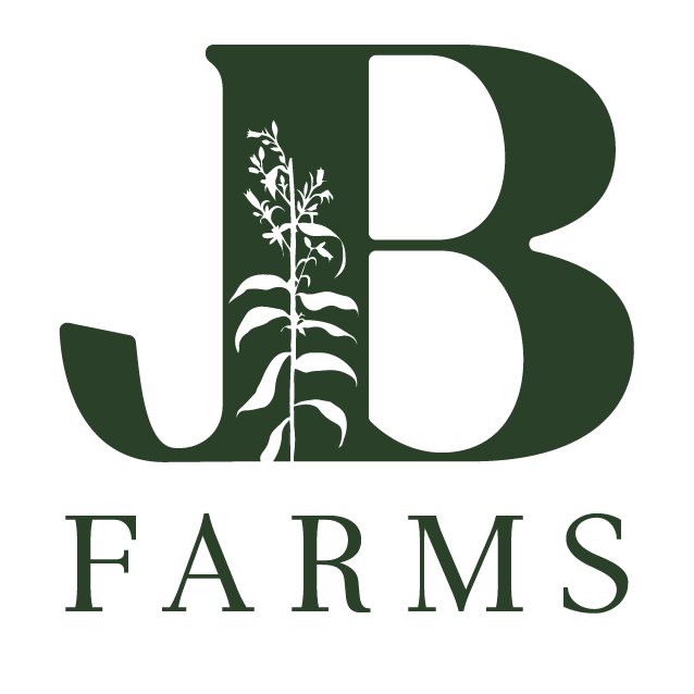 Alex Jones Logo-06.png