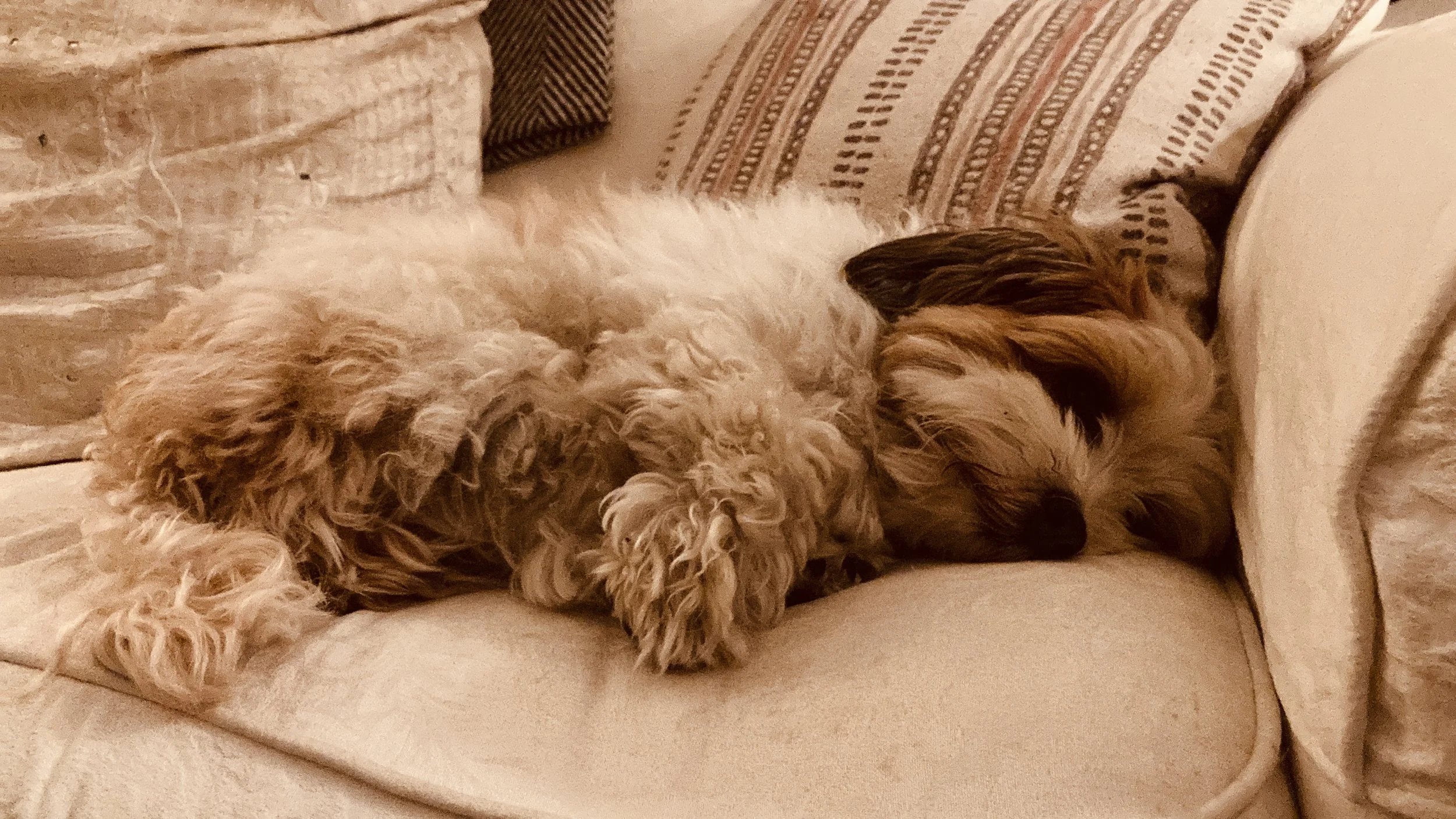 Are You Investing Enough in Friendships Outside of Work?