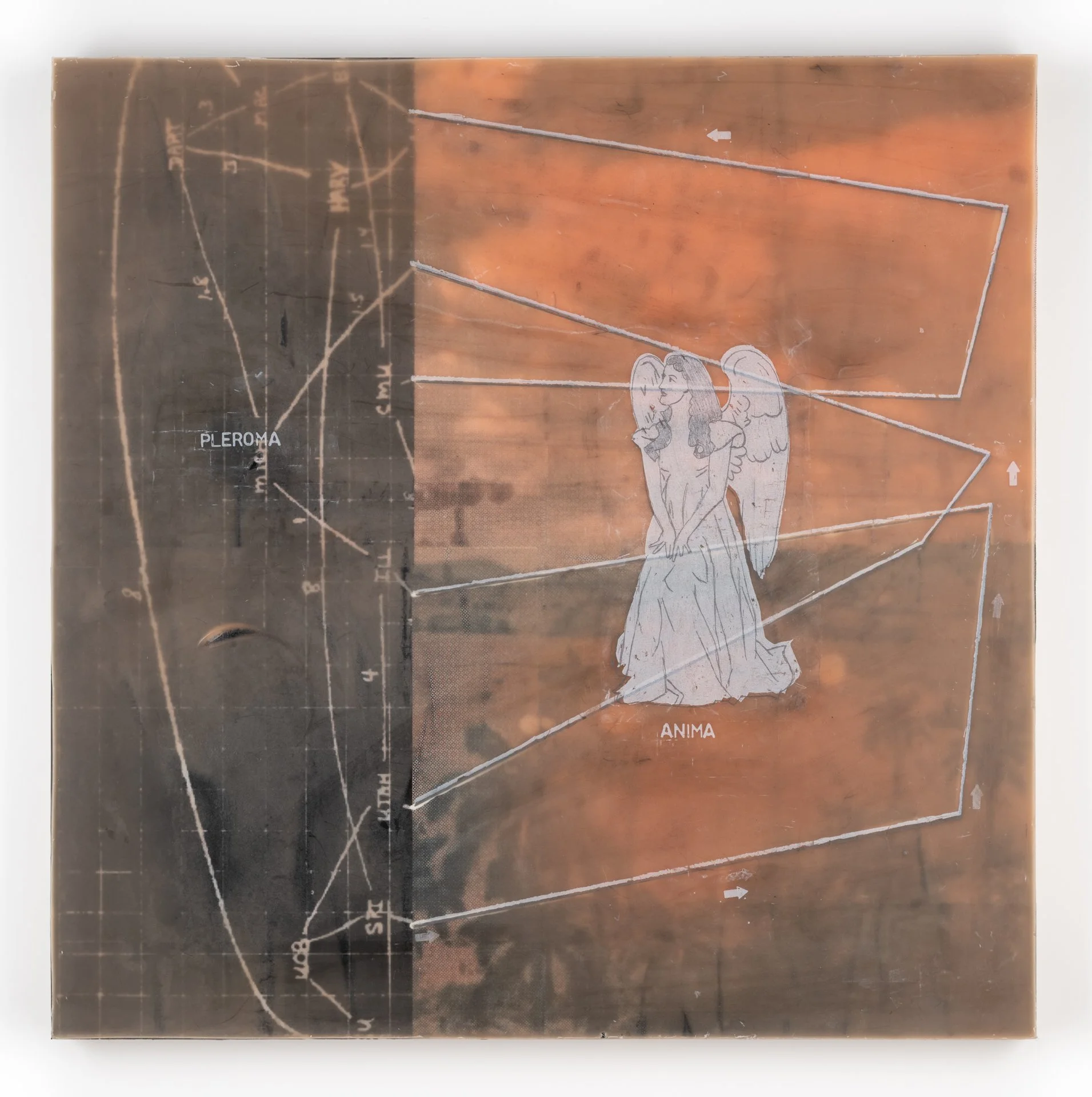Anima / Pleroma