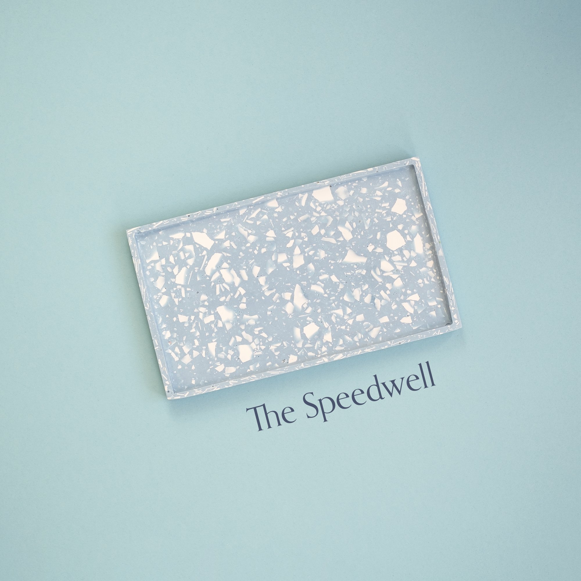 Speedwell image name .jpg