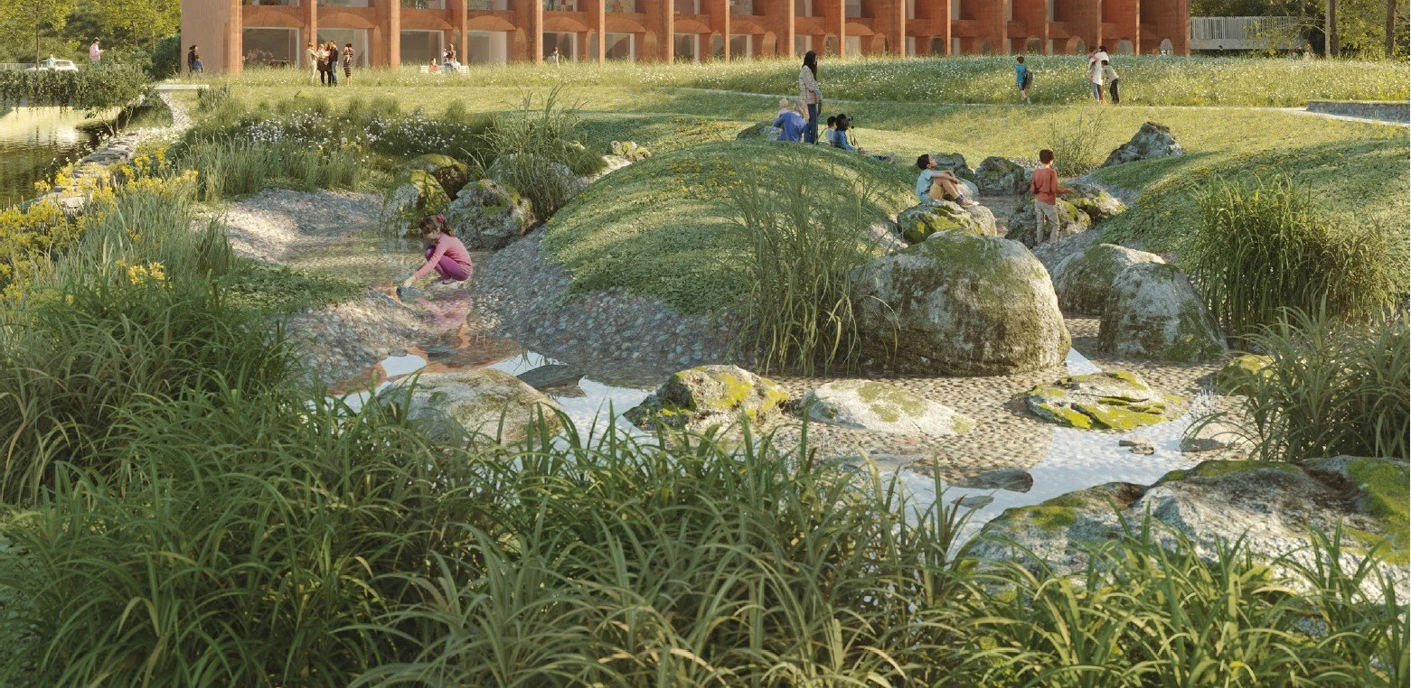 simonson palmier pers 2.jpg