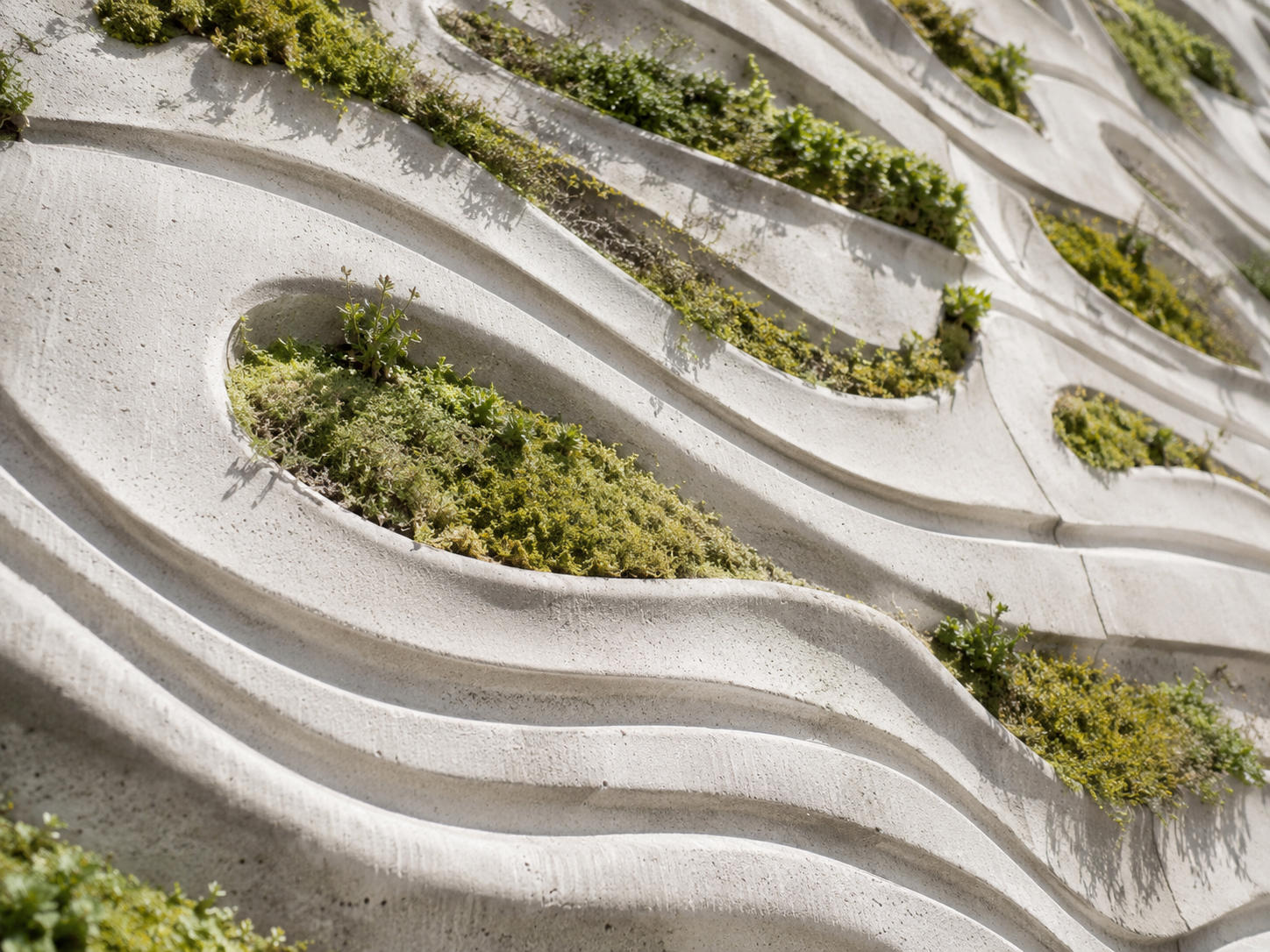 Façade en béton bioréceptif avec relief sculpté et végétation intégrée dans les creux.