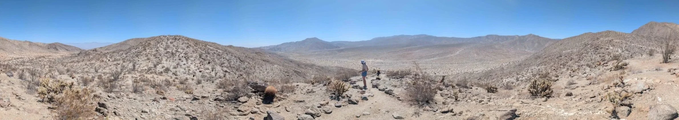 Désert d’Anza-Borrego en Californie du Sud, paysage minéral proche du chaparral, inspiration pour jardins sobres et résilients