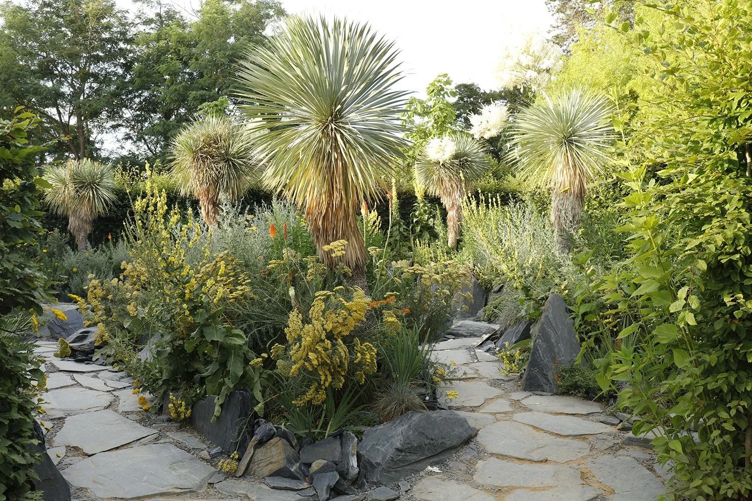 Le Jardin des Émergences, Chaumont-sur-Loire, jardin primé, jardin sec et palette végétale