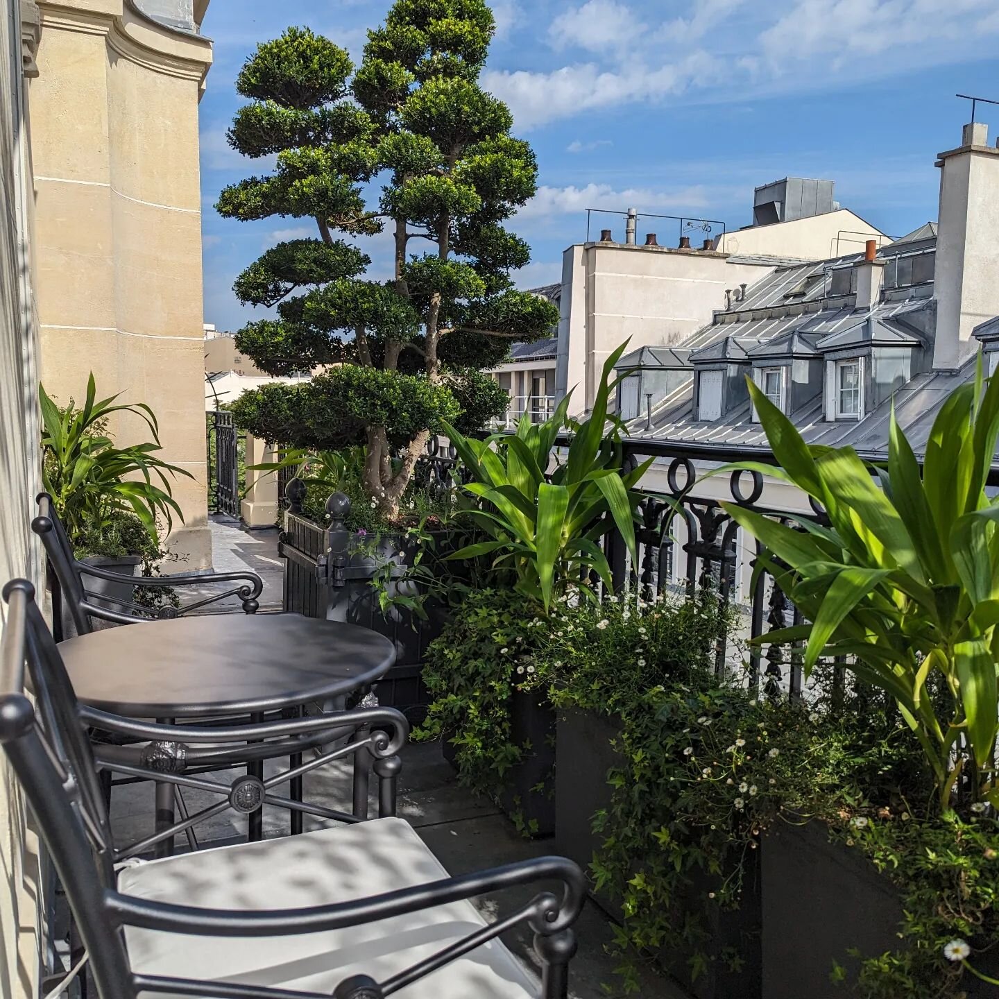 🌿 Parisian Elegance: Crafting Luxury Gardens by Simonson Landscape 🇫🇷✨

In the creative bustle of Paris, Simonson Landscape is proud to share a recent project: a classic French garden on the terrace and balcony. We were given carte blanche to crea
