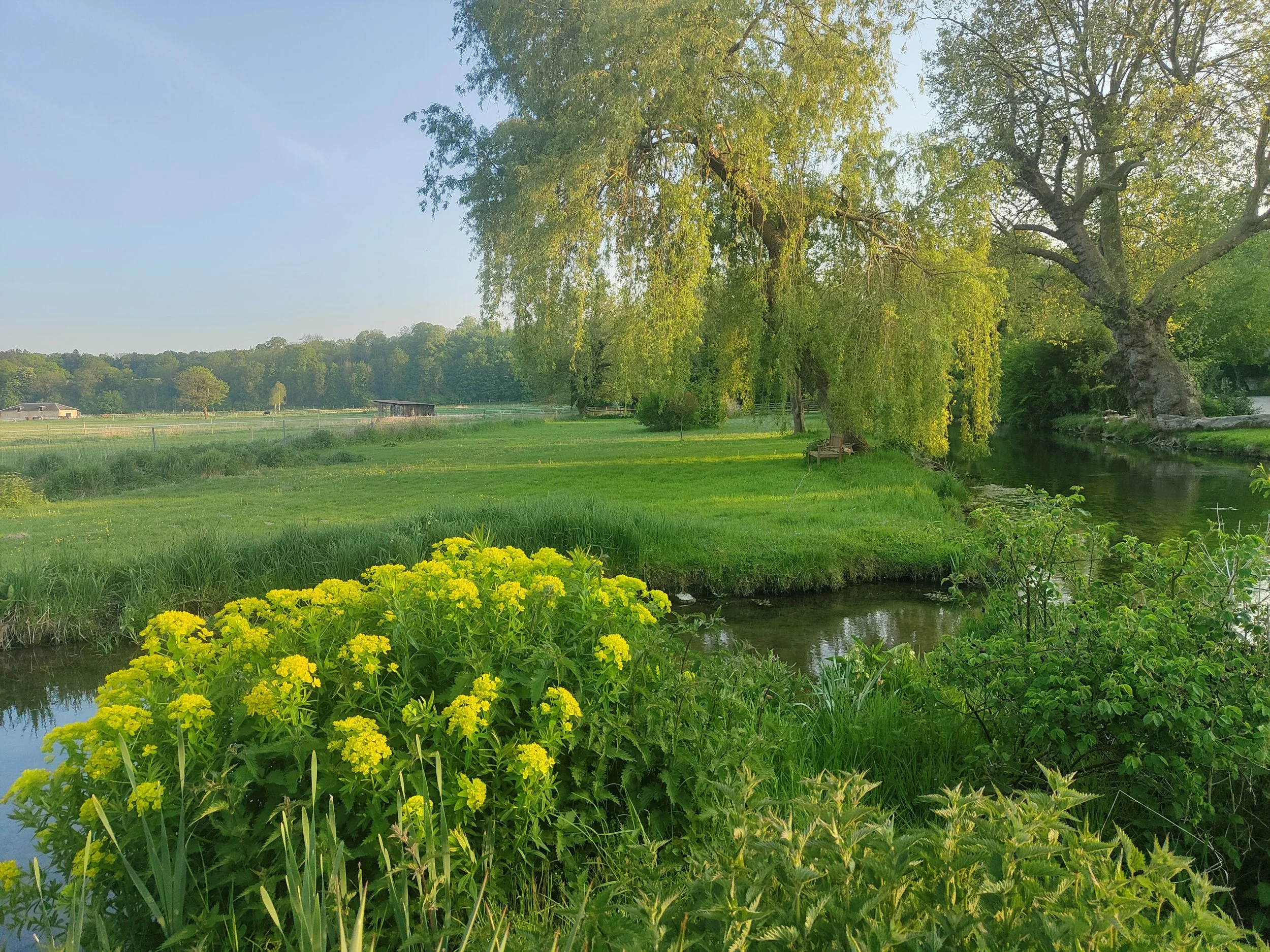 J’ai un château, comment restaurer un parc ou un jardin historique ?