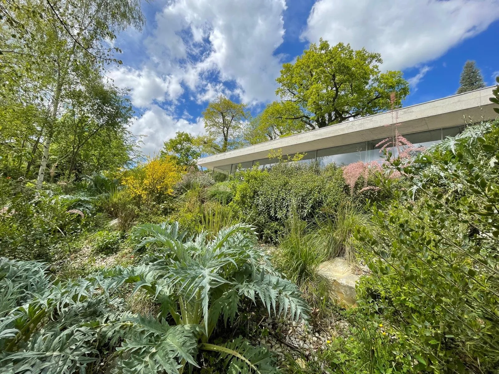 Aménagement paysager d'un jardin en pente avec végétation luxuriante au pied d'une maison contemporaine par David Simonson