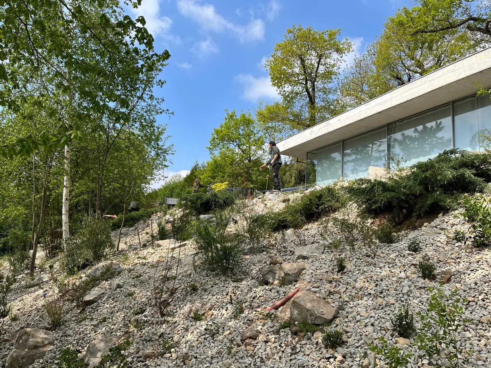 Talus de jardin sec en cours d'établissement, avec paillage minéral et jeunes plantes xérophytes sur sol drainant - projet Simonson Landscape, paysagiste Paris