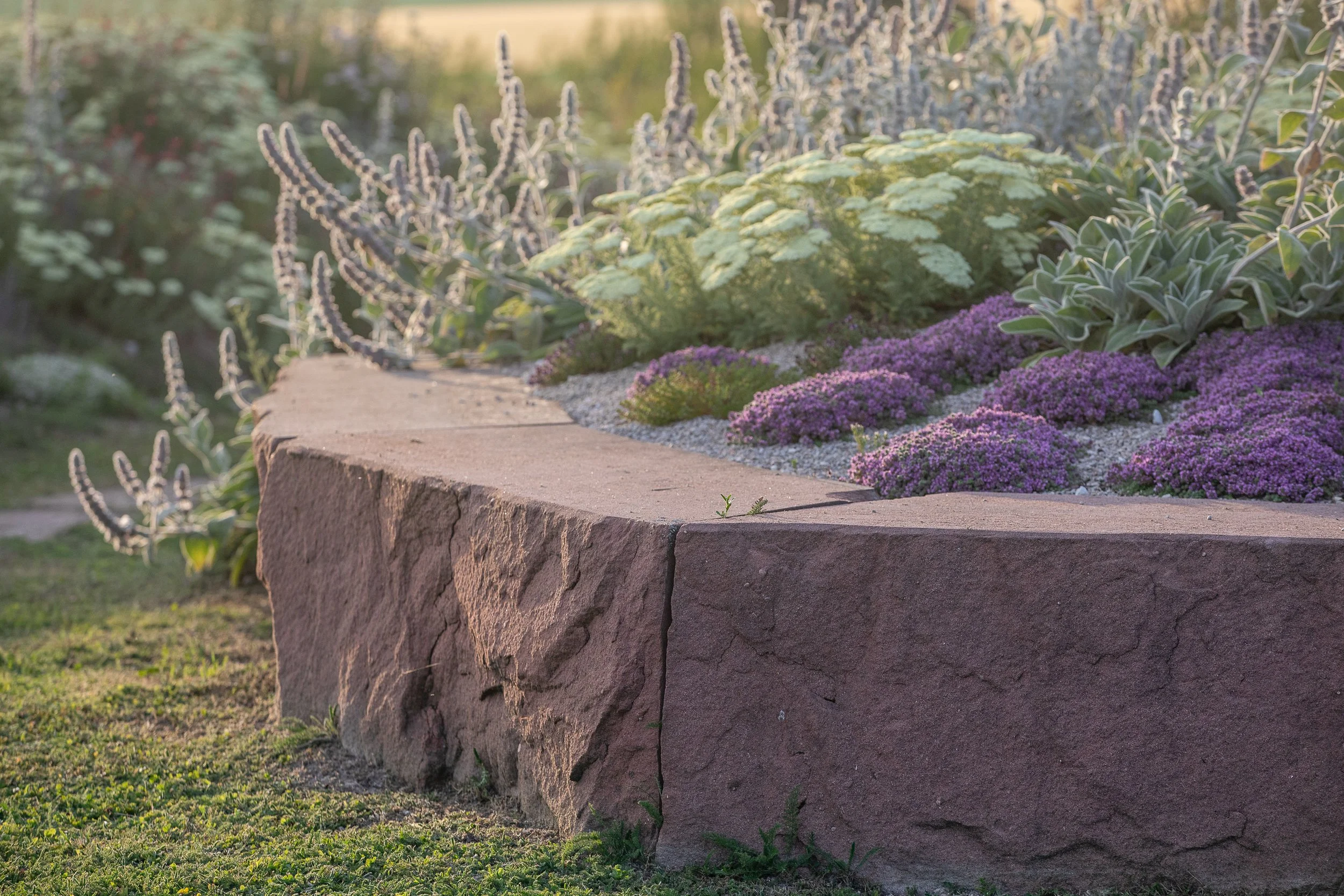 Détail de pierre naturelle et de plantations dans un jardin conçu par un architecte paysagiste à Paris