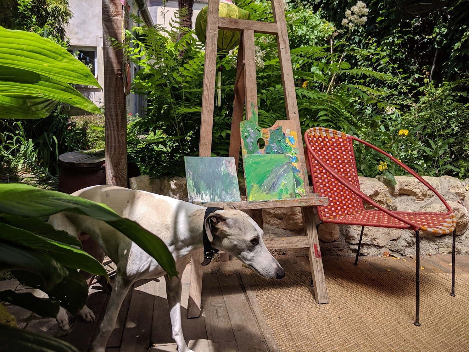 MVIMG_20190608_144153.jpg
