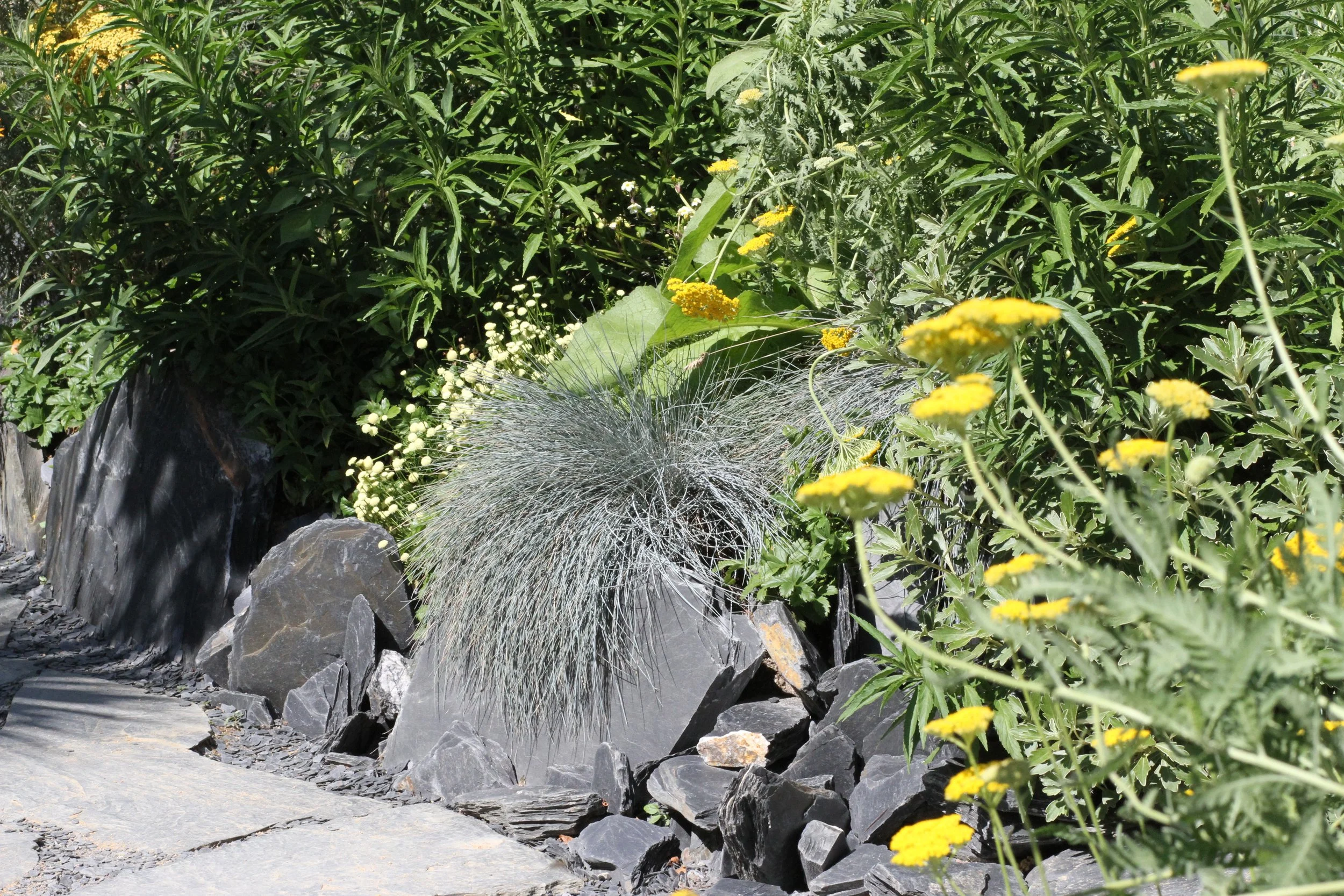 Jardin de rocaille contemporain avec pierres naturelles, graminées et plantes vivaces jaunes.