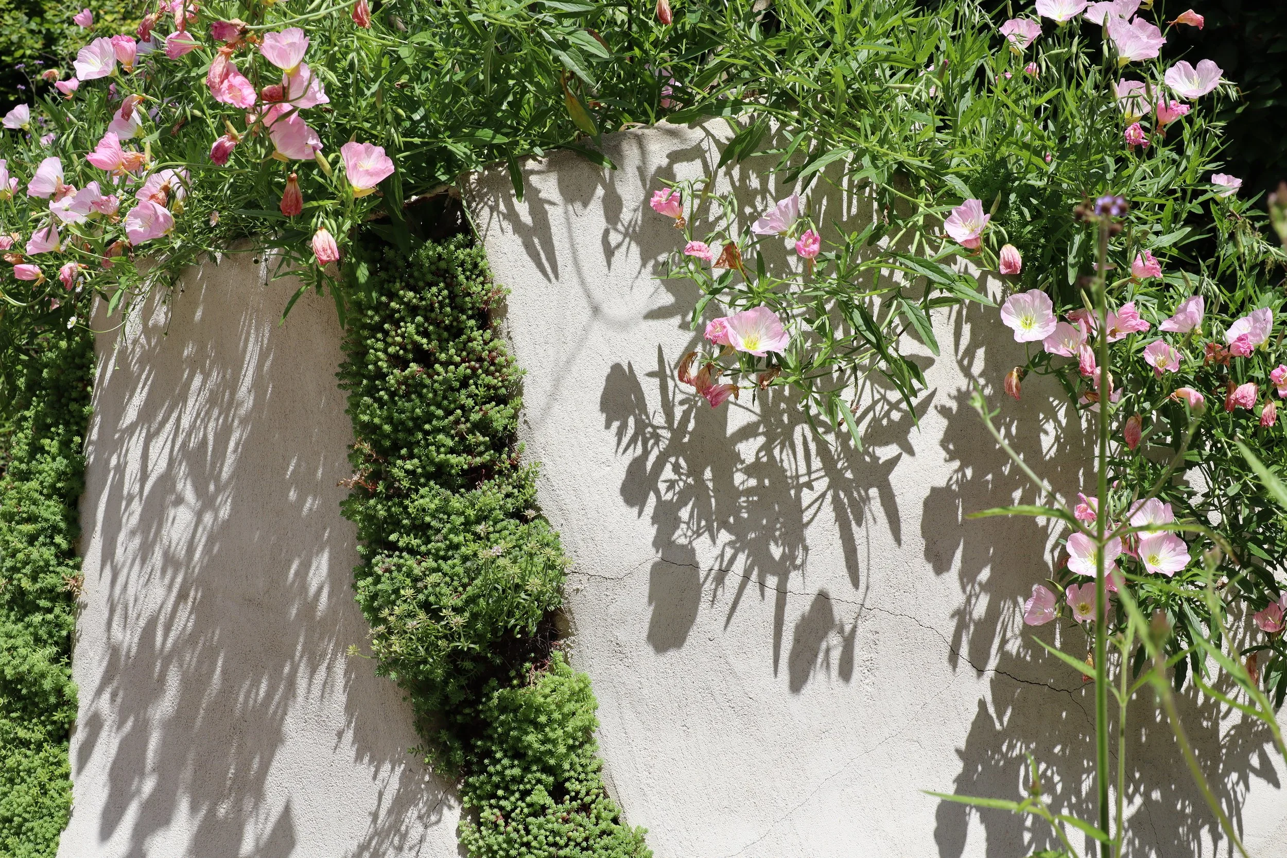 Le Jardin des Murmures à Chaumont-sur-Loire, avec végétation installée dans les interstices d’une structure minérale.