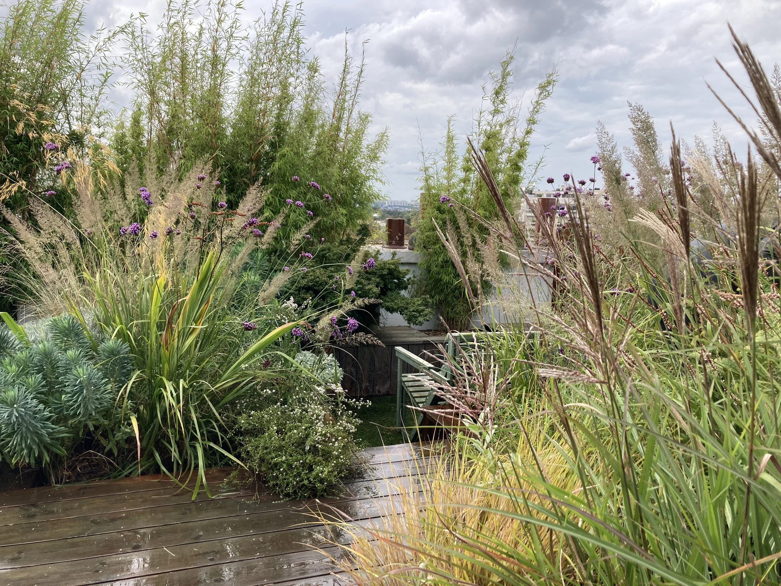 Terrasse végétalisée avec chemin en bois et plantes ornementales à Paris