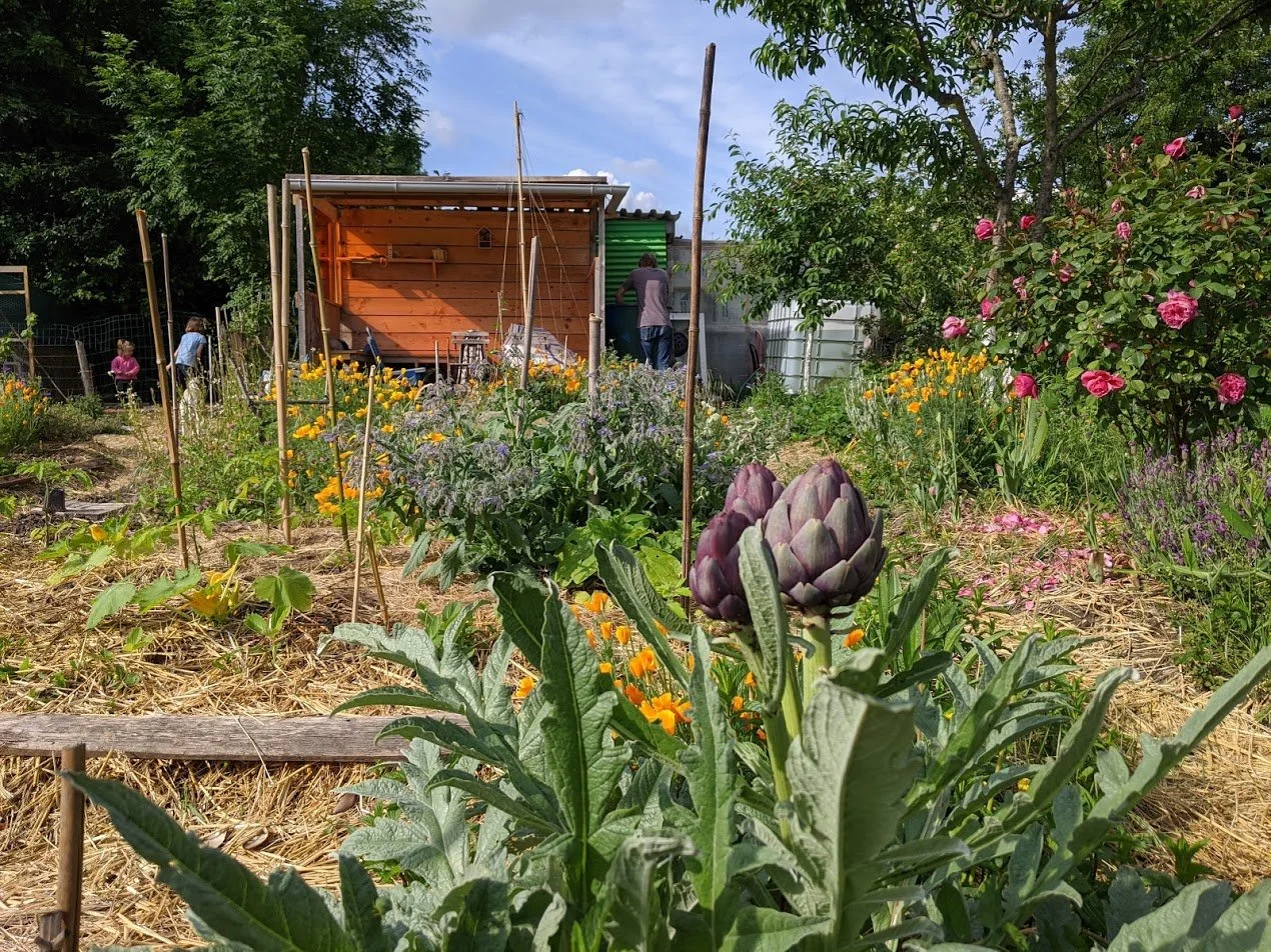 zone-maraichere-jardin-ecologique-montmorency.jpg
