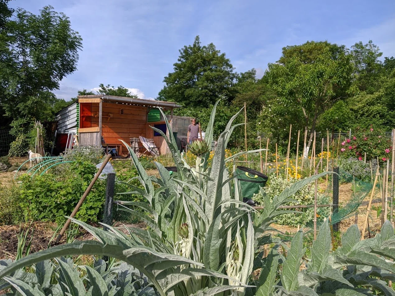abri-de-jardin-potager-montmorency.jpg