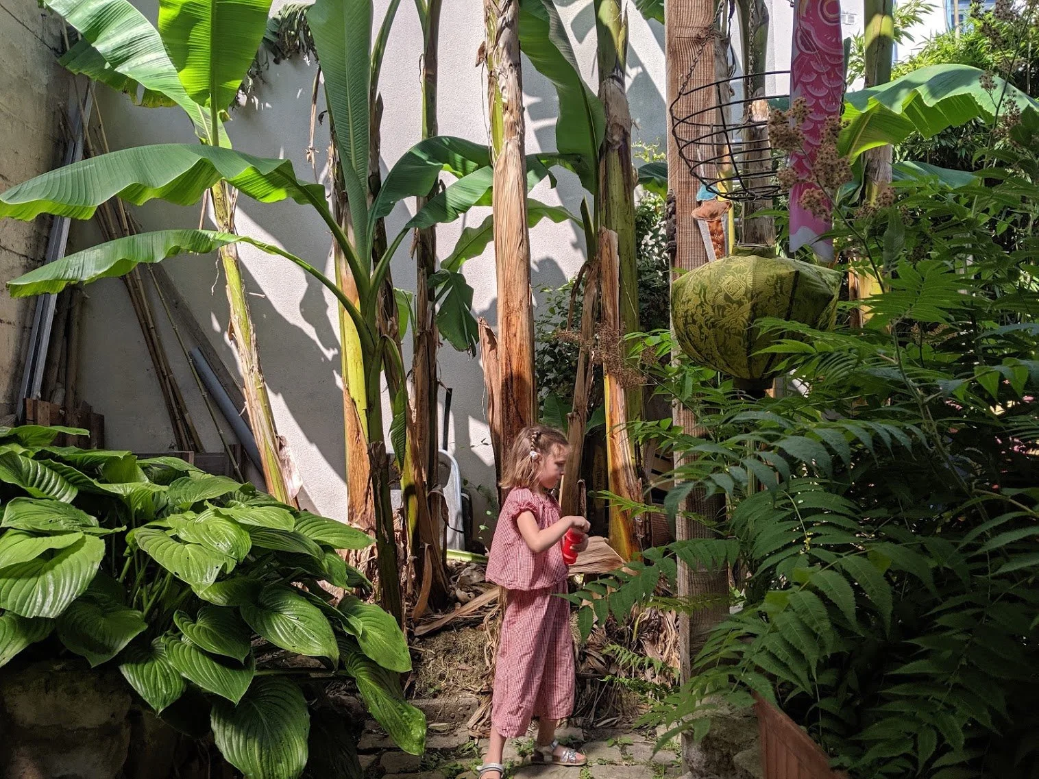 Le jardin jungle de Montmorency