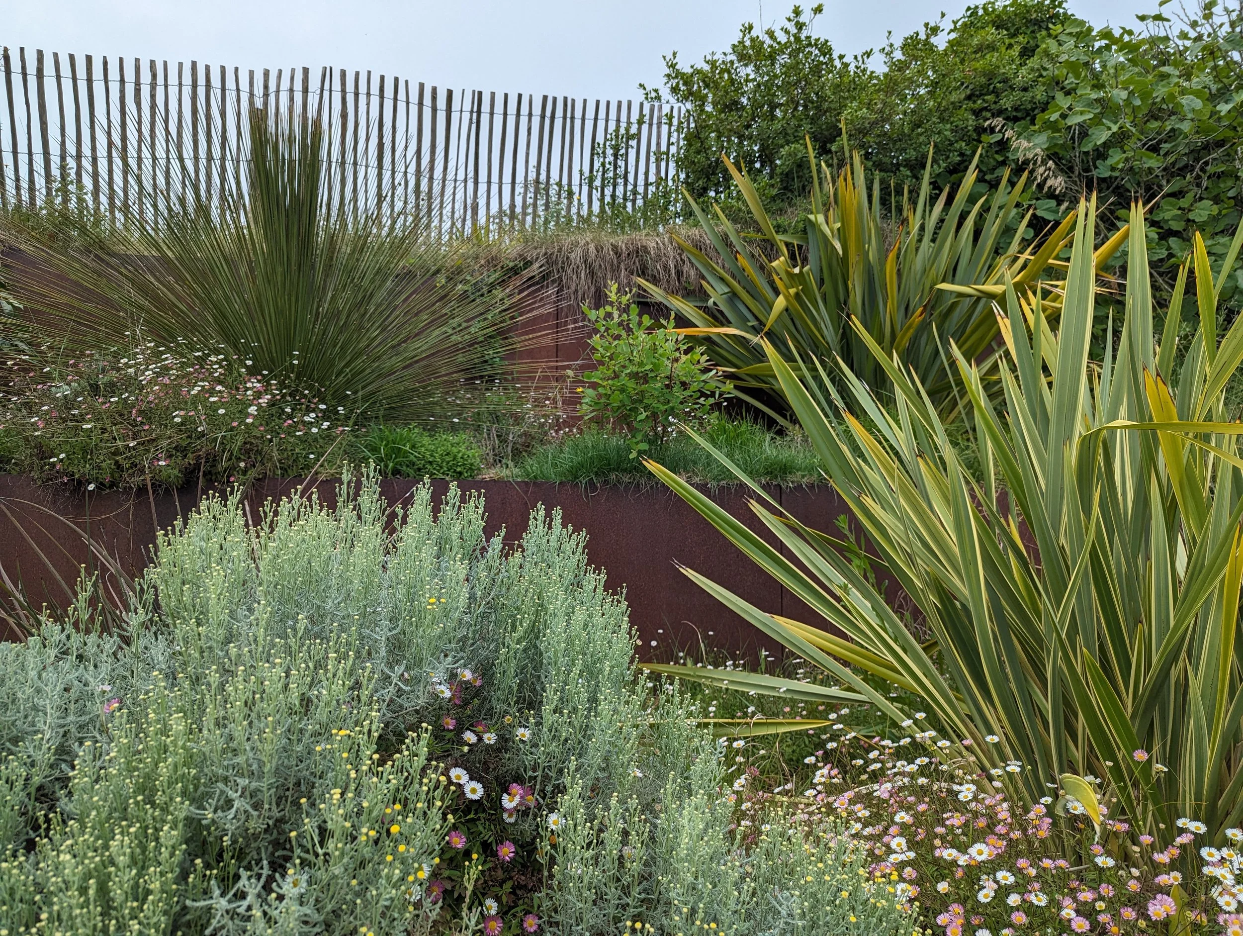 Création d'un jardin structuré en acier Corten retenue de terre avec végétation graphique et aromatique par Simonson Landscape.