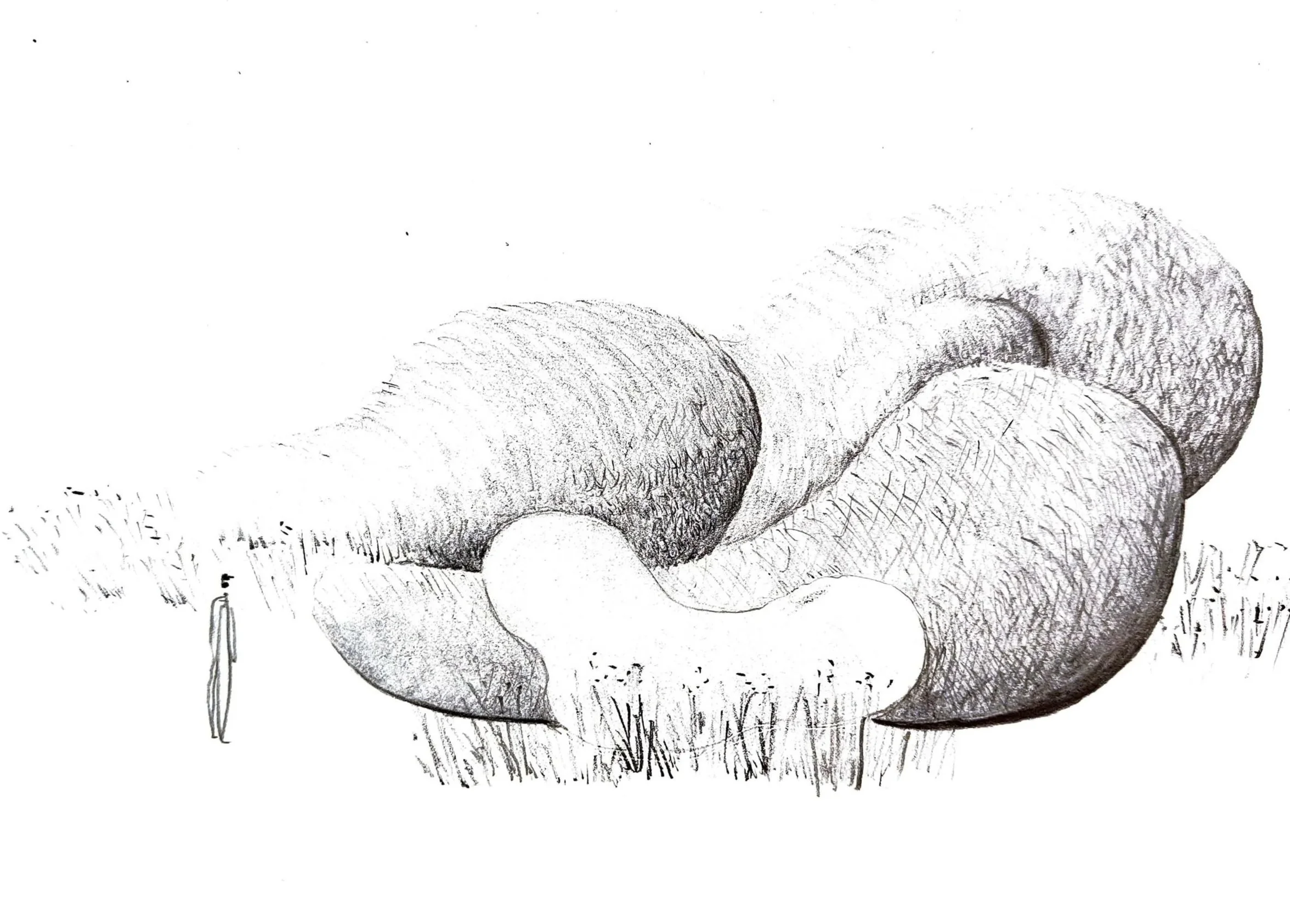 Esquisse au crayon d’un jardin de château à Gouvieux, volumes paysagers et formes organiques, réflexion sur la composition et l’échelle.