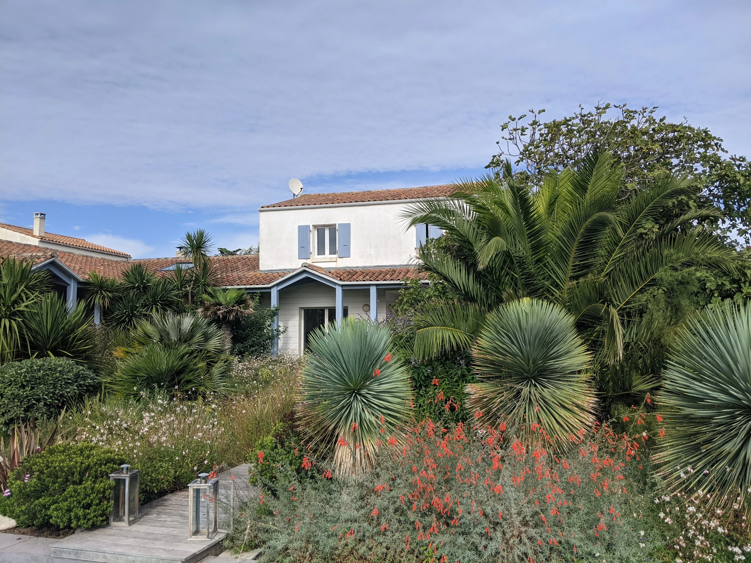 Jardin exotique sur l’île d’Oléron avec allée en bois, yuccas et massifs floraux devant une villa.