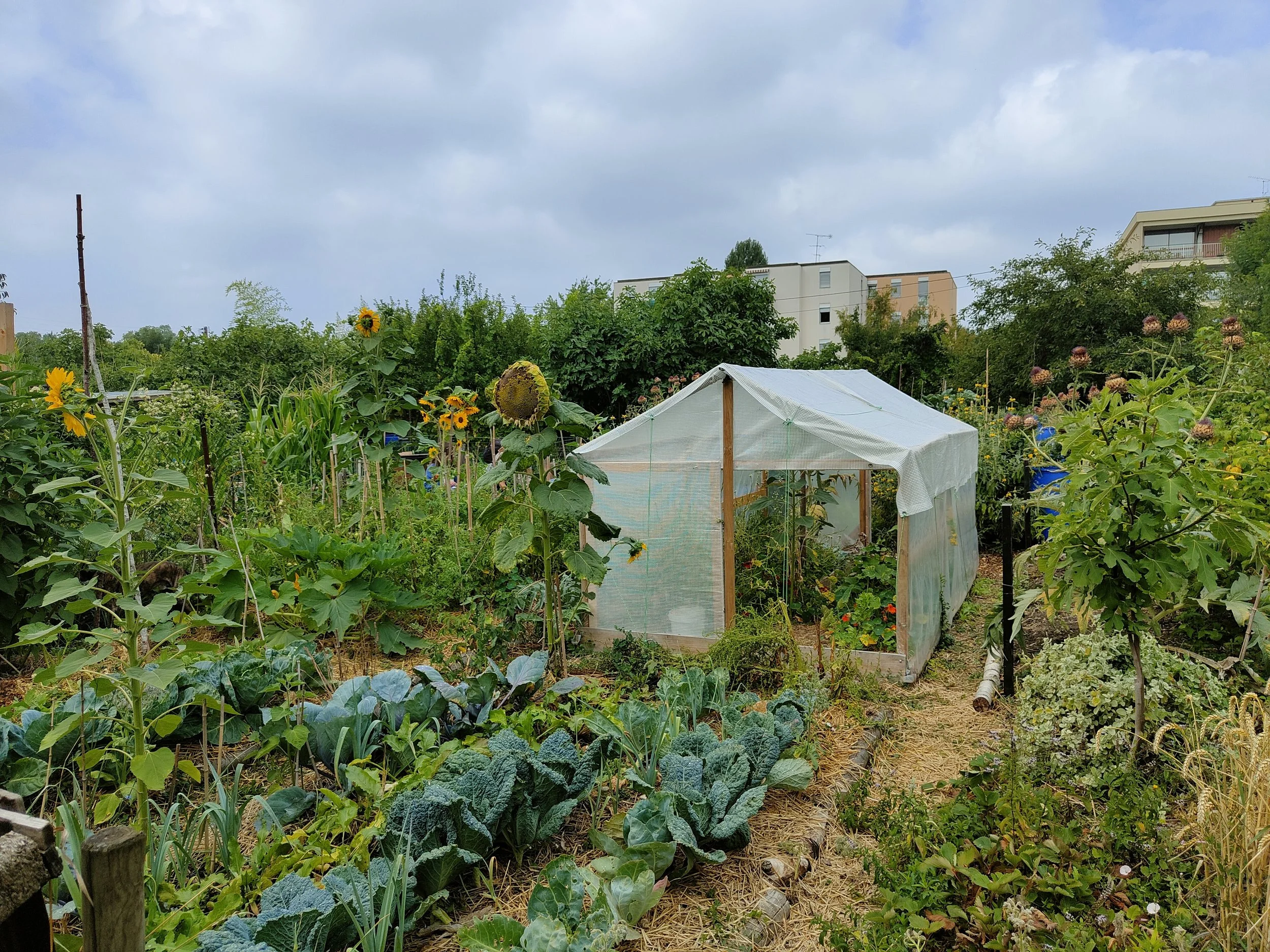 conception-potager-permaculture-montmorency.jpg
