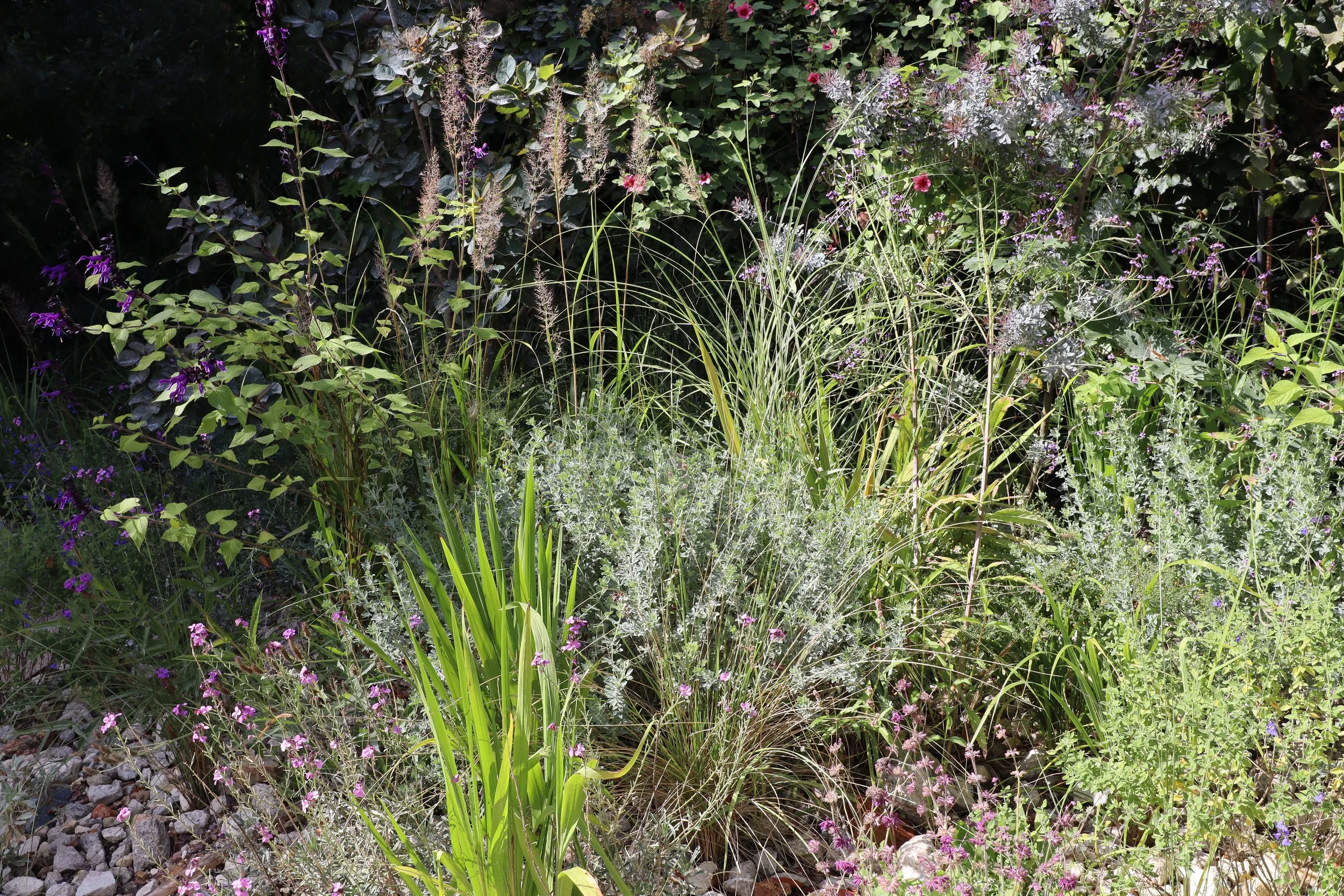 Massif jardin sec avec graminées ornementales, vivaces fleuries et paillage minéral de gravier - résultat d'un sol drainant bien préparé, projet Simonson Landscape Paris
