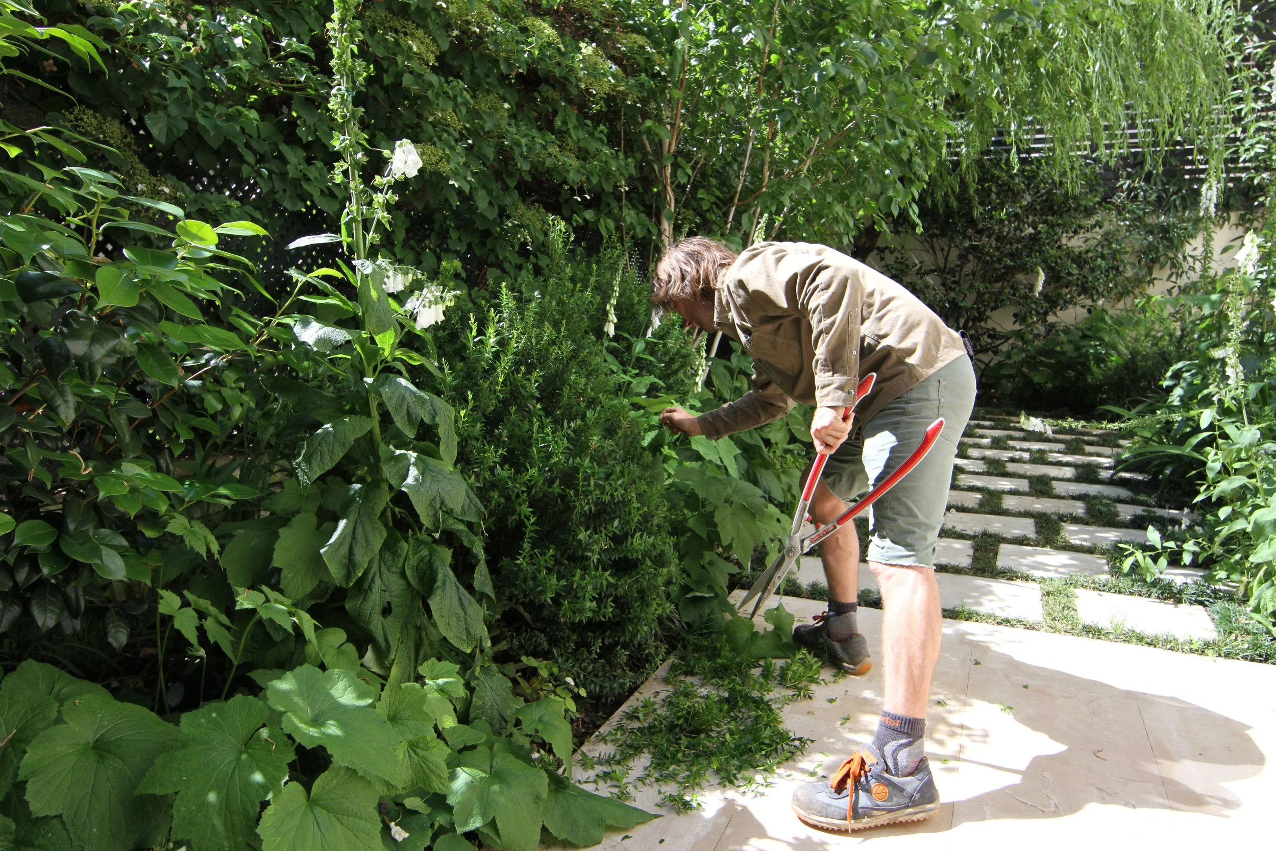 Entretien et taille de précision d'un jardin sur mesure à Paris par l'équipe de Simonson Landscape.