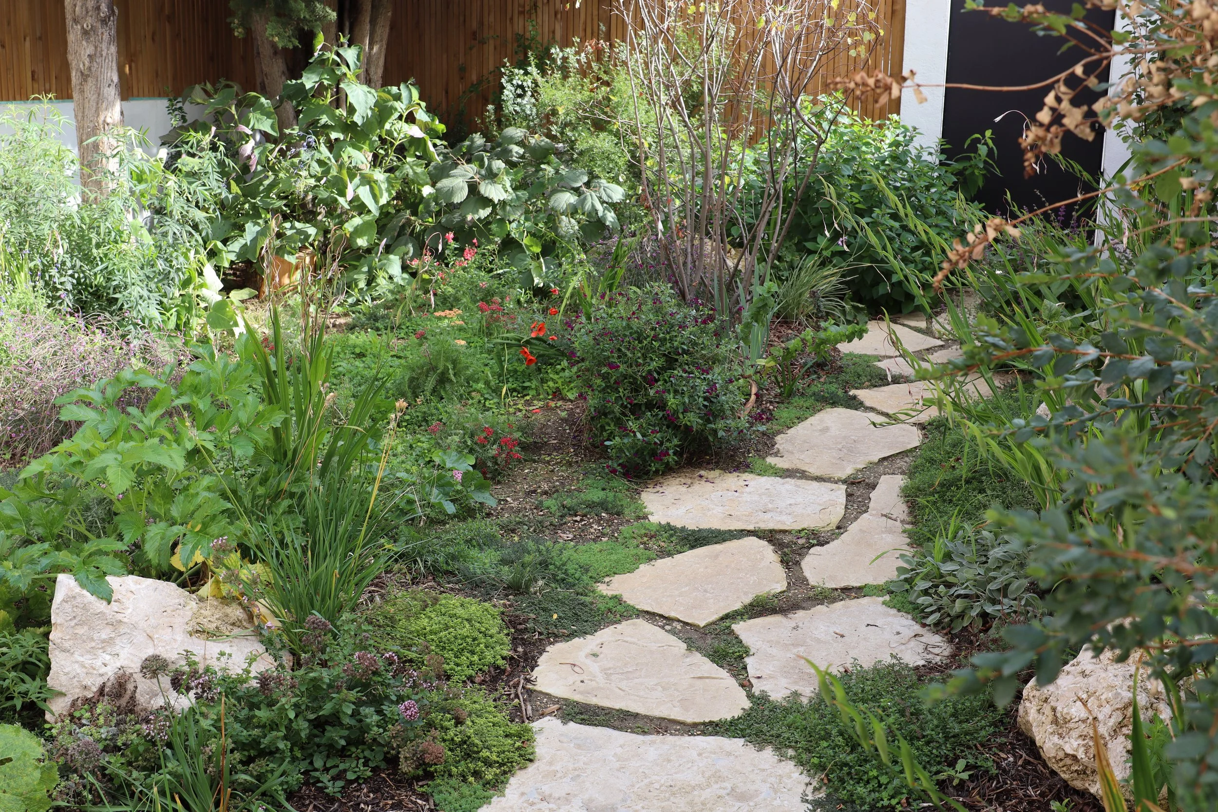 Aménagement paysager d'un jardin comestible sur mesure à Villejuif par Simonson Landscape, avec allée minérale et végétation nourricière.