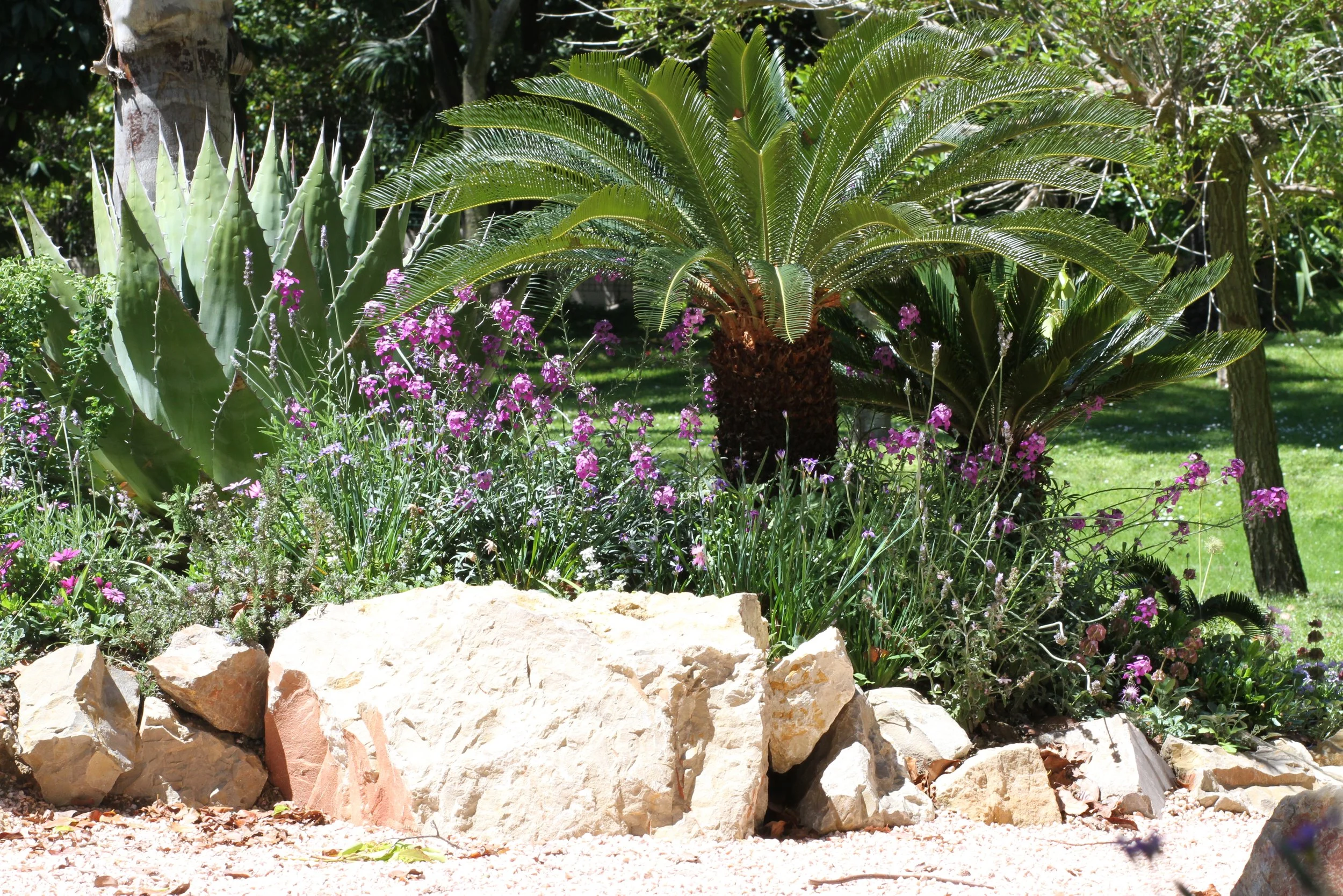 Jardin de rocaille avec rochers calcaires, cycas et agave - composition minérale et végétale d'un jardin sec xérophyte, projet Simonson Landscape paysagiste Paris