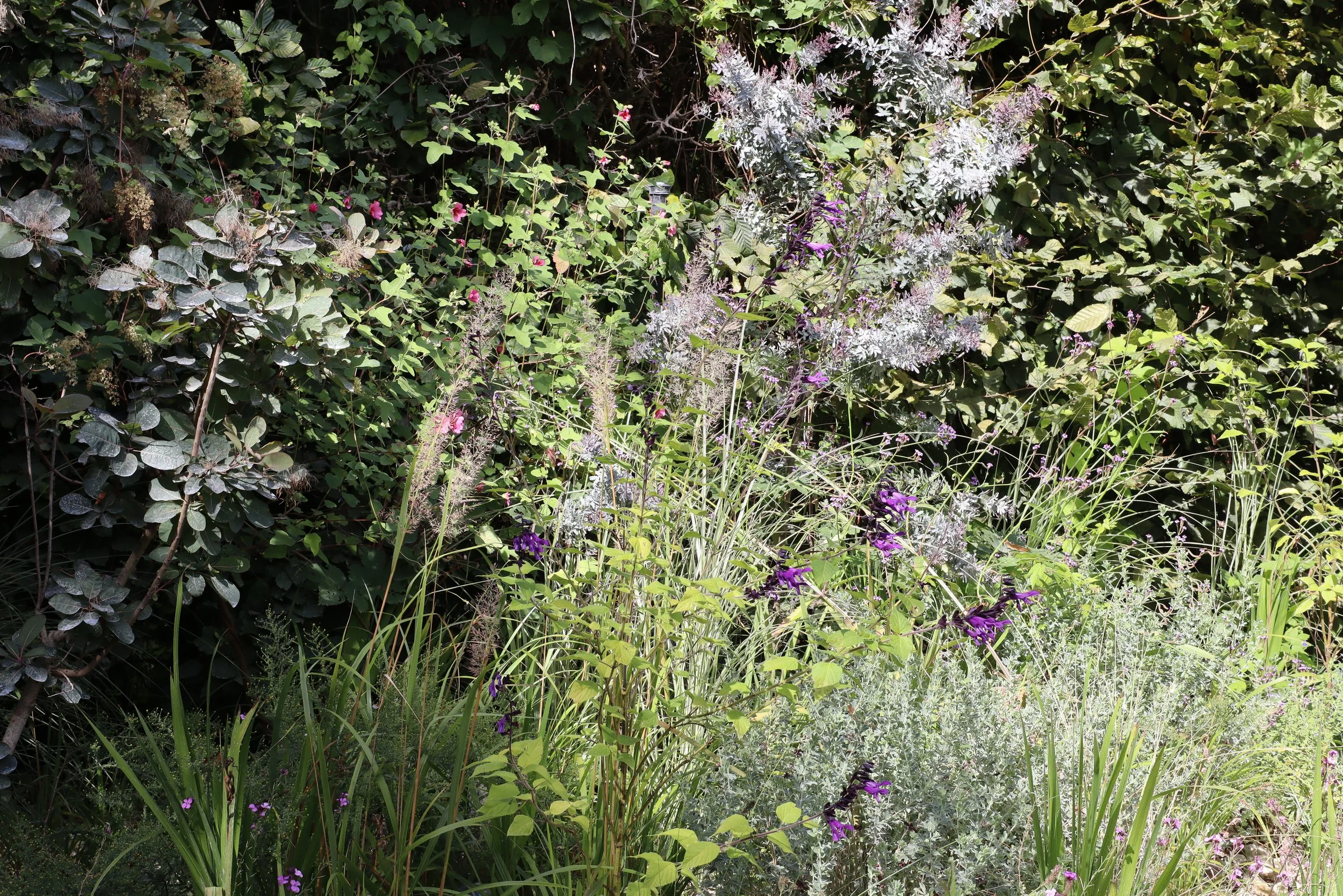 Palette végétale naturelle et biodiversité dans un jardin conçu par l'architecte paysagiste David Simonson