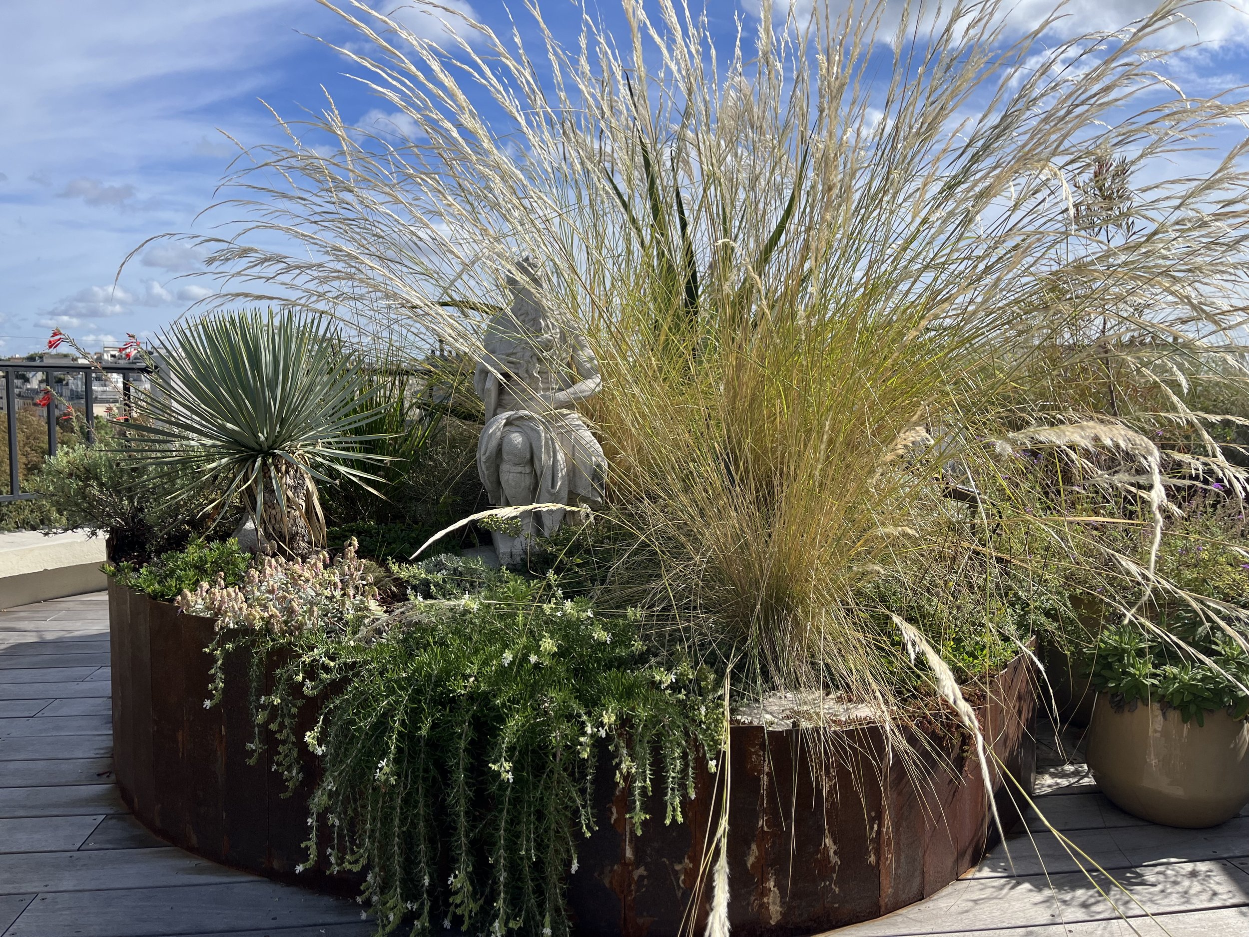 Jardin sec sur terrasse avec bac en acier Corten sur mesure, graminées et plantes méditerranéennes à Paris